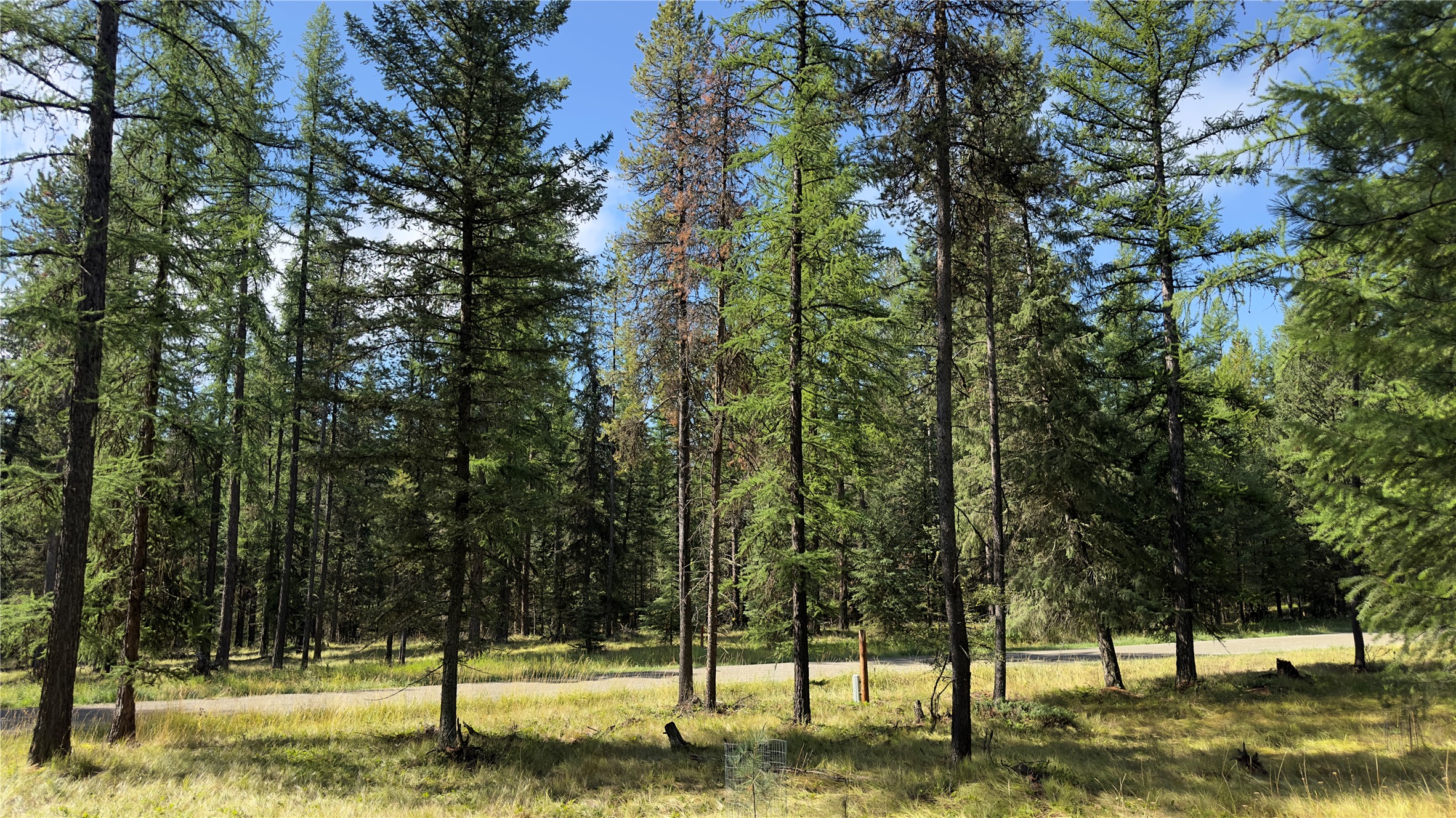 Nhn Forest Loop Property Photo 5