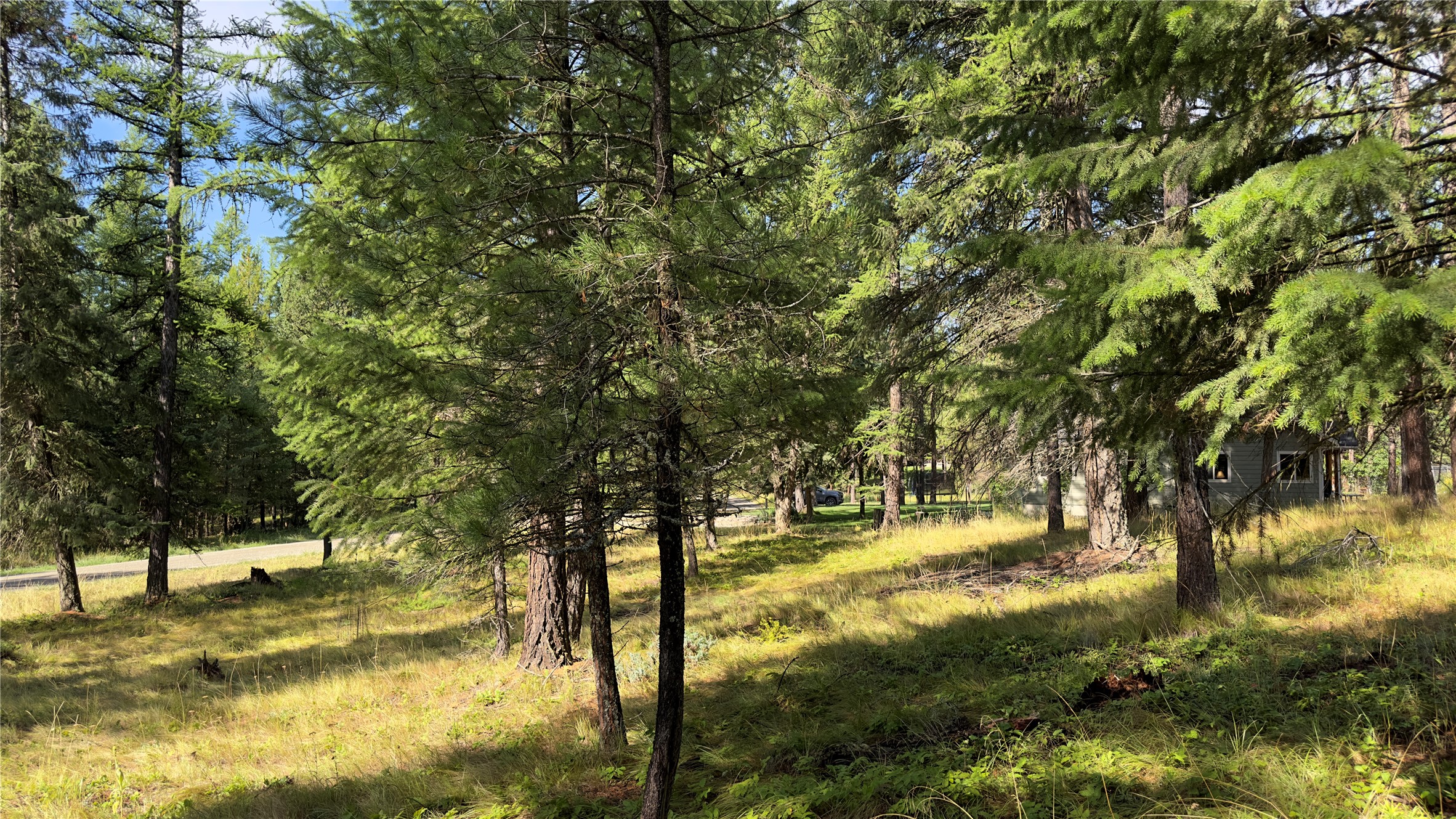 Nhn Forest Loop Property Photo 6
