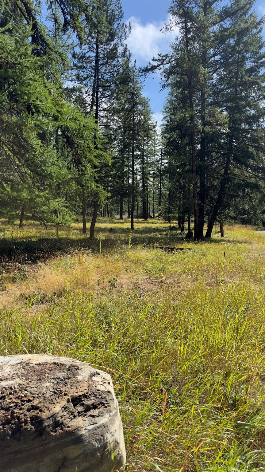 Nhn Forest Loop Property Photo 8