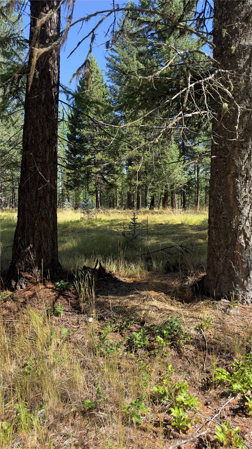 Nhn Forest Loop Property Photo 9