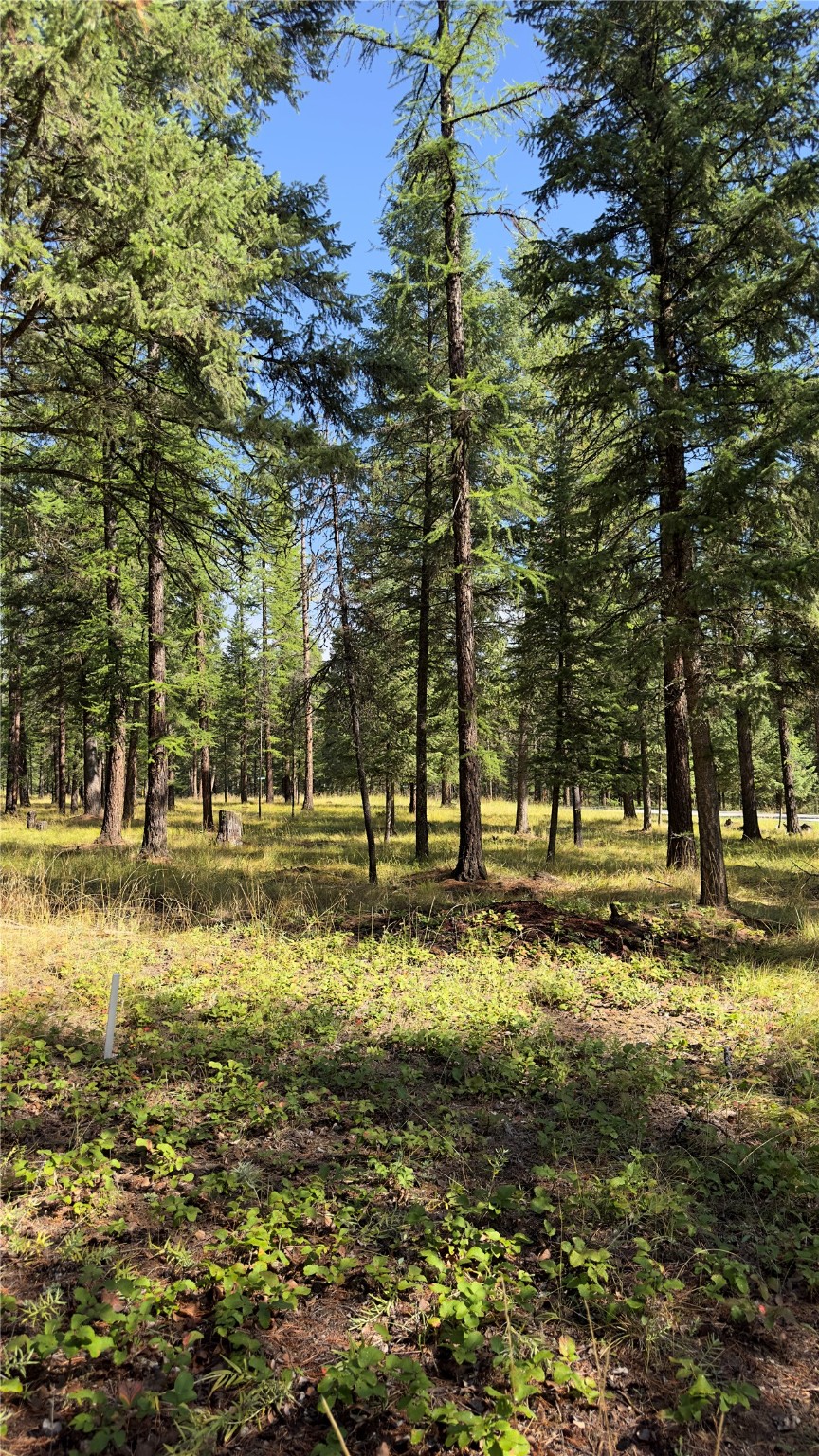 Nhn Forest Loop Property Photo 10