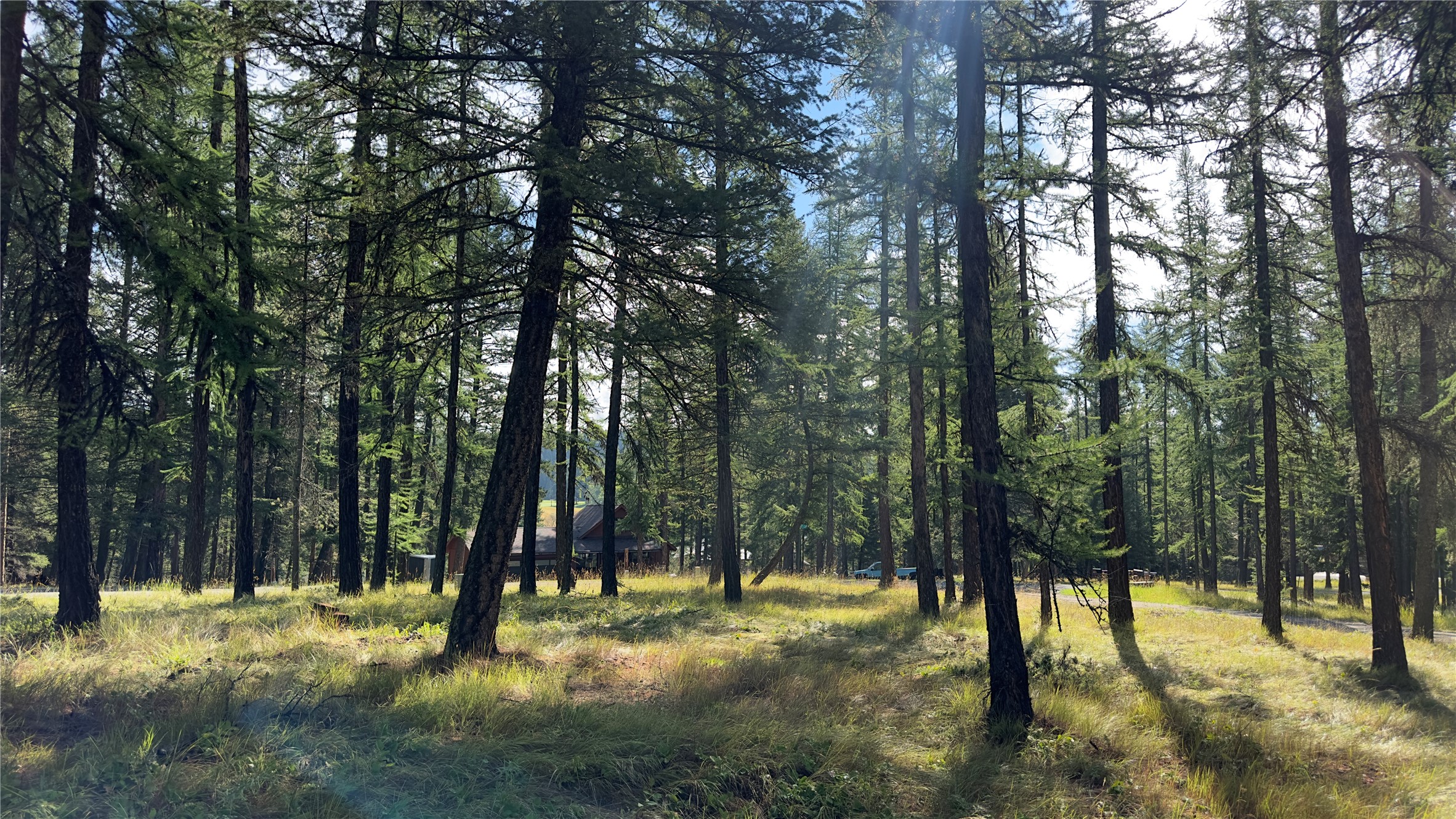Nhn Forest Loop Property Photo 11