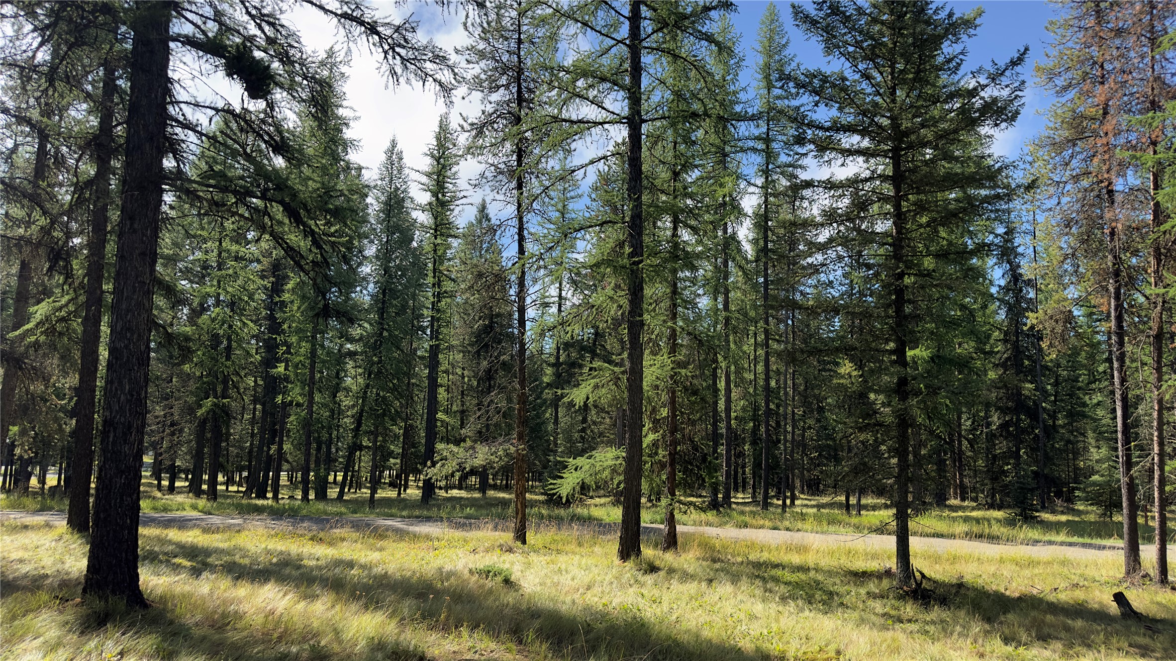 Nhn Forest Loop Property Photo 12