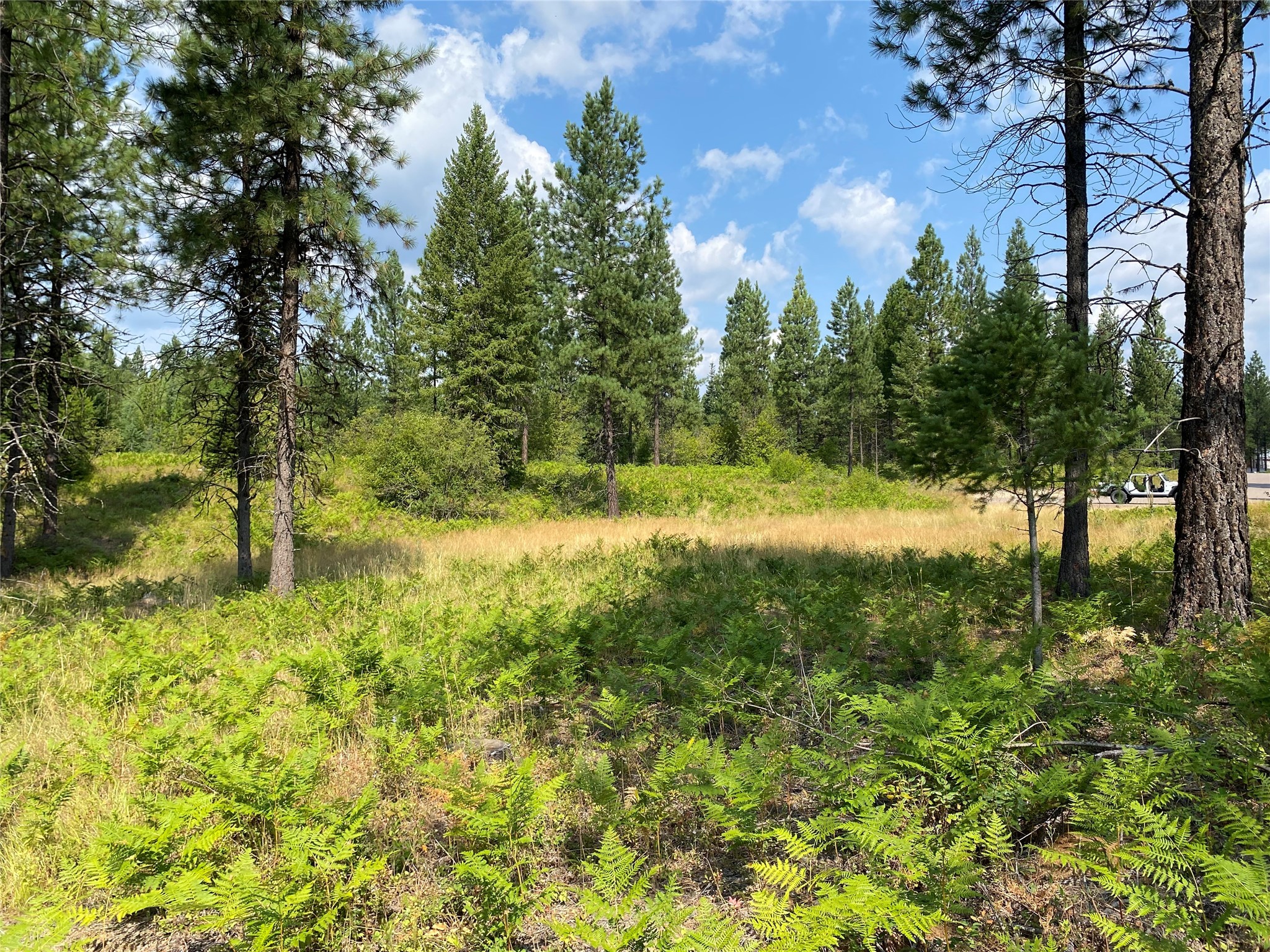 Lake Creek Ranch Real Estate Listings Main Image