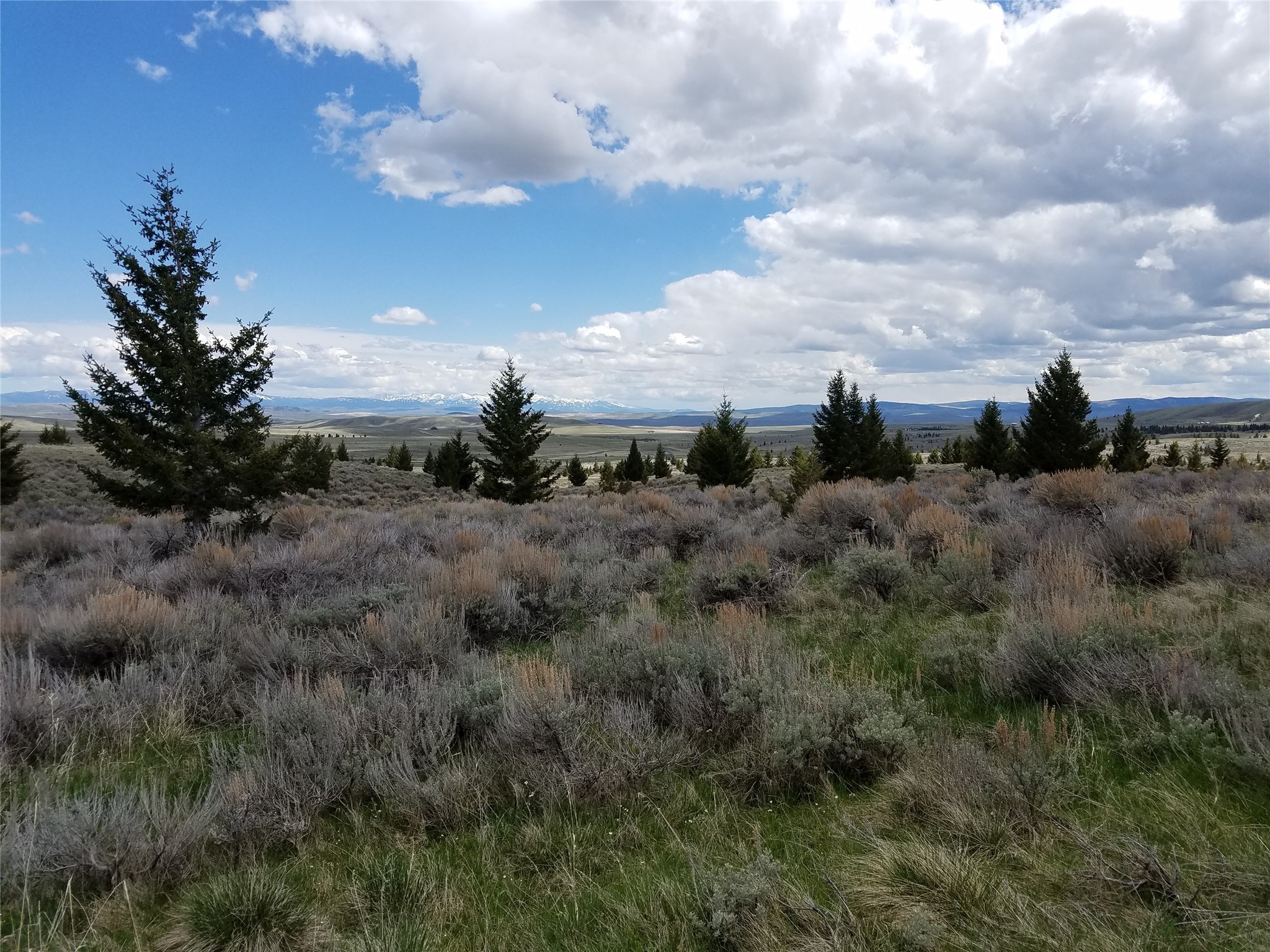 118 Panorama Drive Property Photo 2