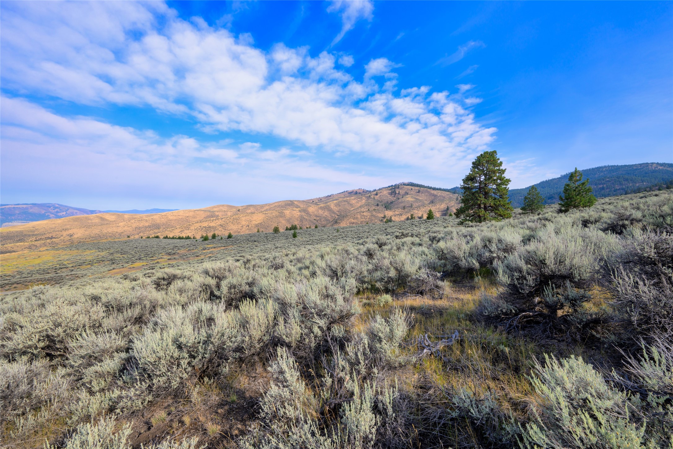 Lot 1 Sapphire Ridge Property Photo 13