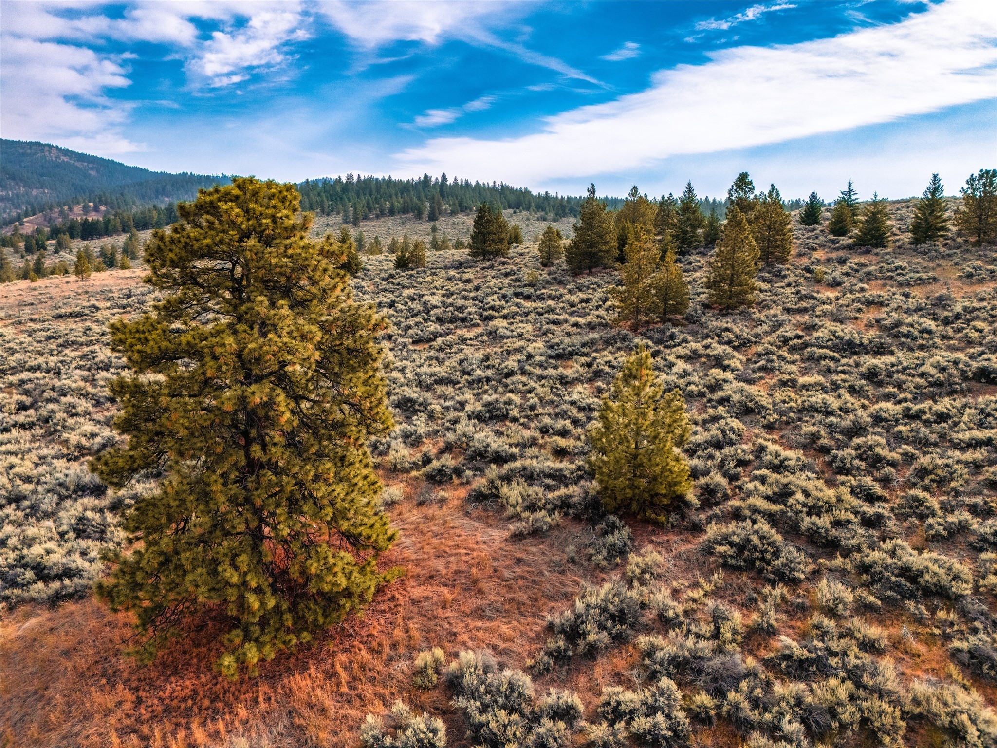 Lot 1 Sapphire Ridge Property Photo 33