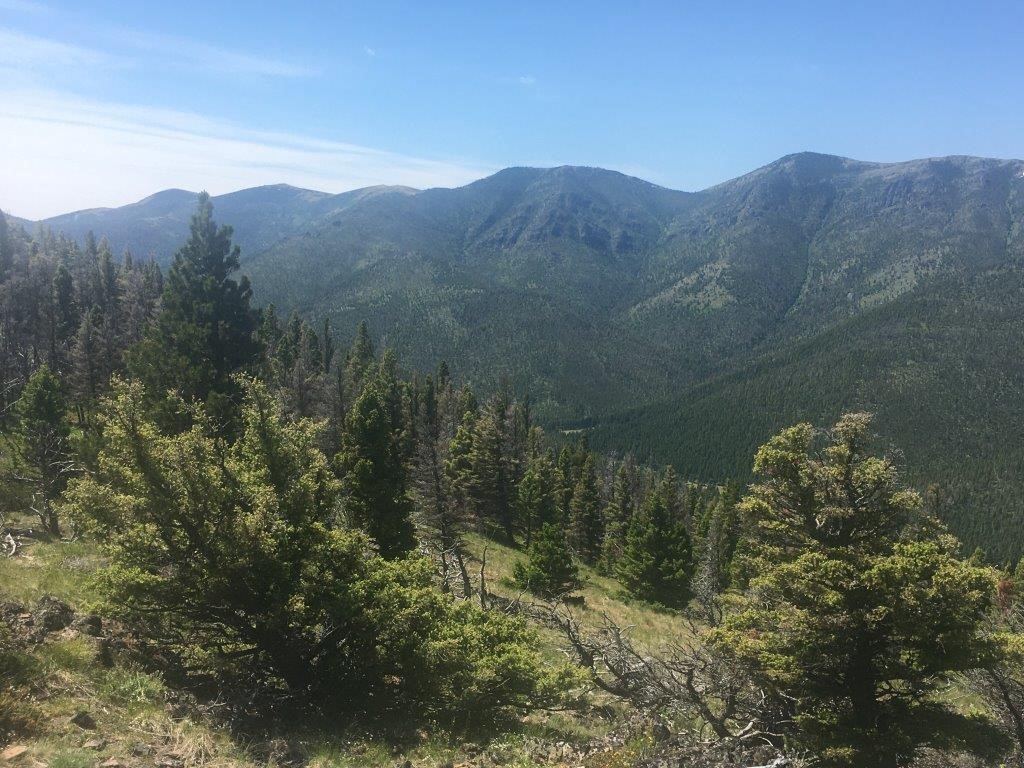 56 Wolf Creek Road Property Photo 1