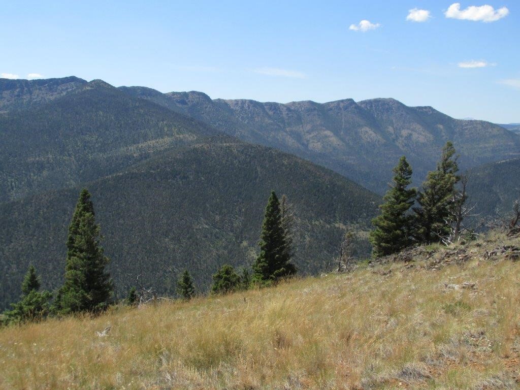 56 Wolf Creek Road Property Photo 3
