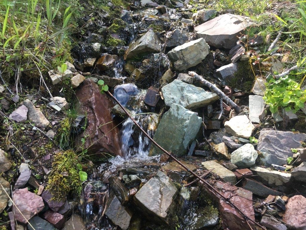 56 Wolf Creek Road Property Photo 4