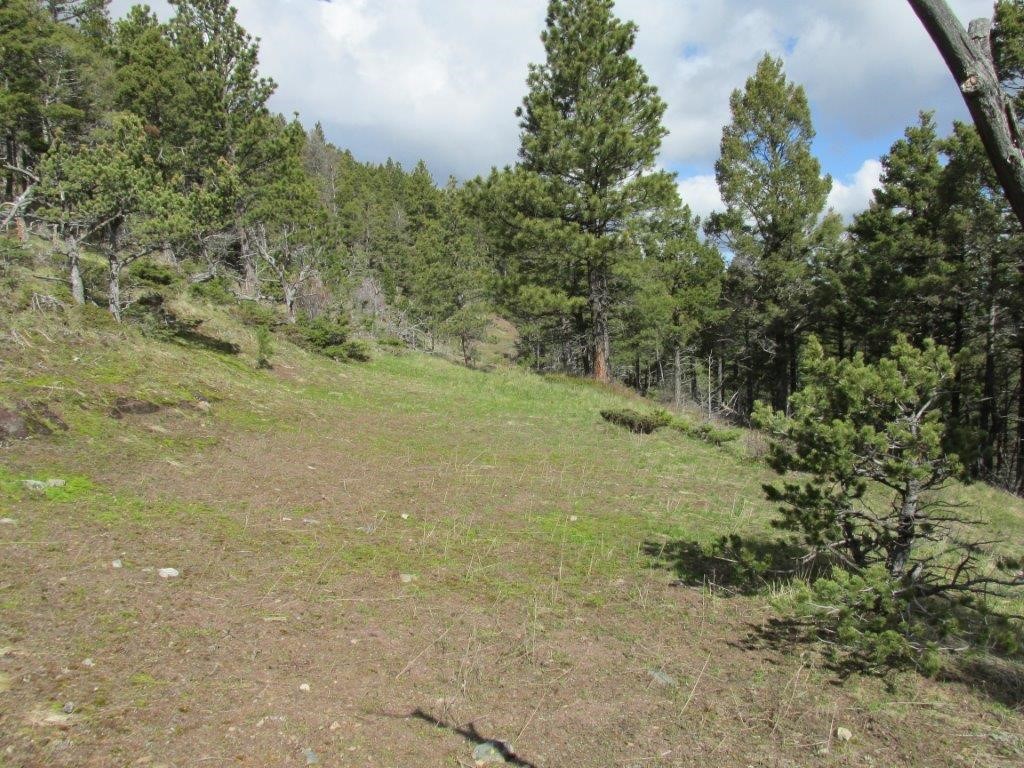 56 Wolf Creek Road Property Photo 5