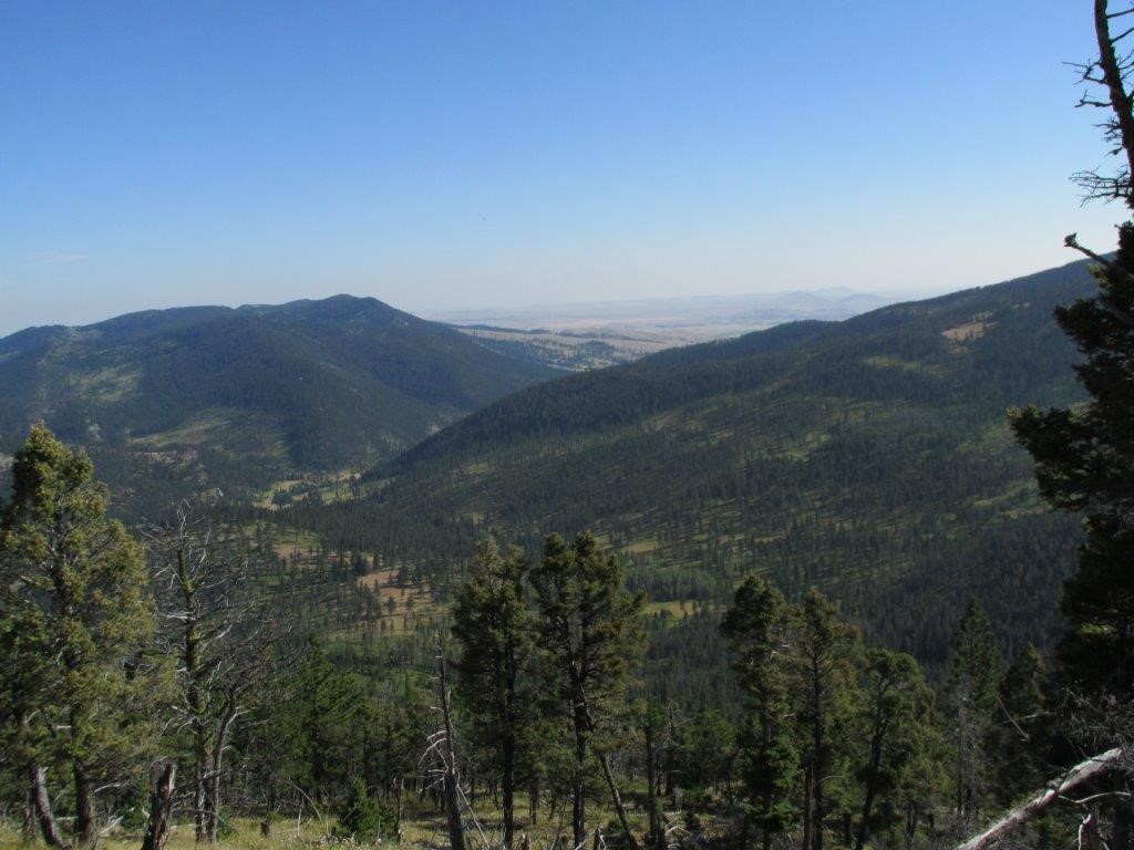 56 Wolf Creek Road Property Photo 6