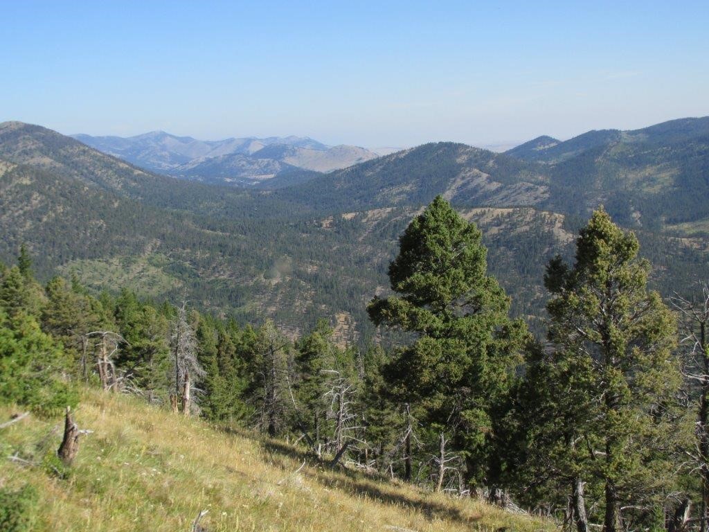 56 Wolf Creek Road Property Photo 7