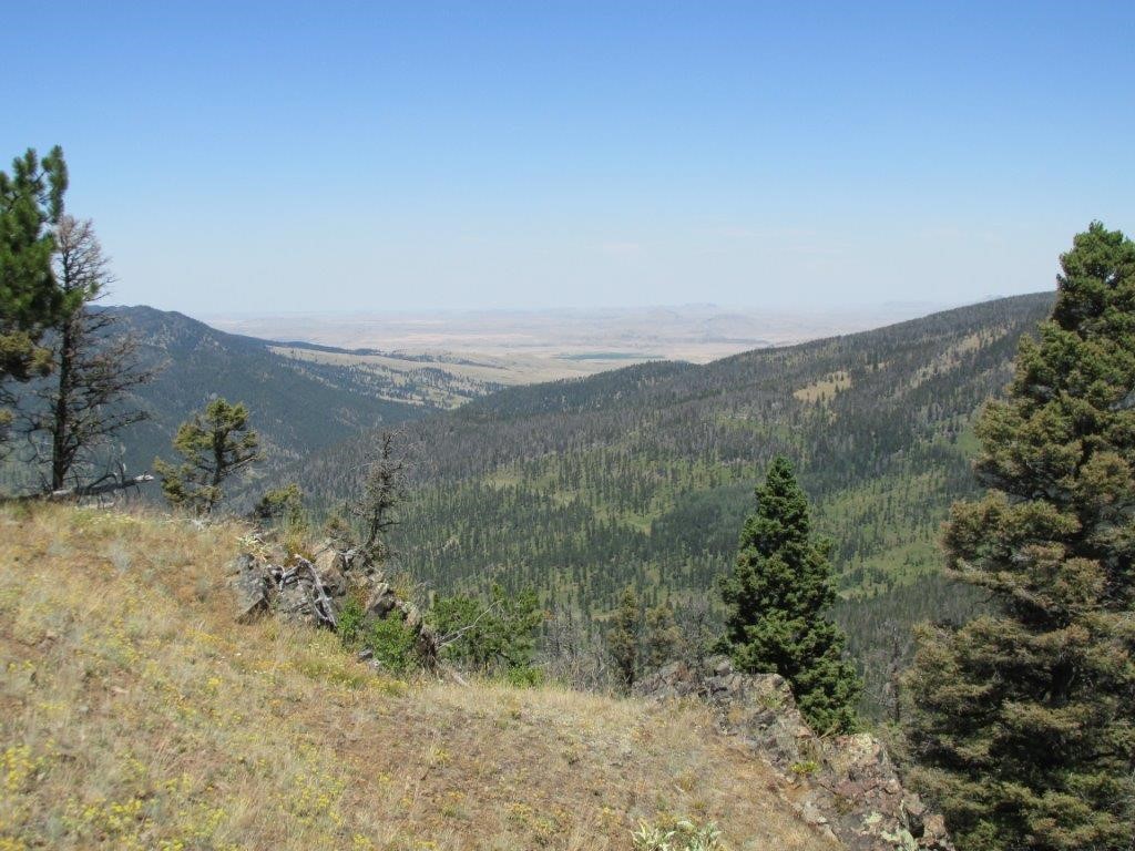 56 Wolf Creek Road Property Photo 8