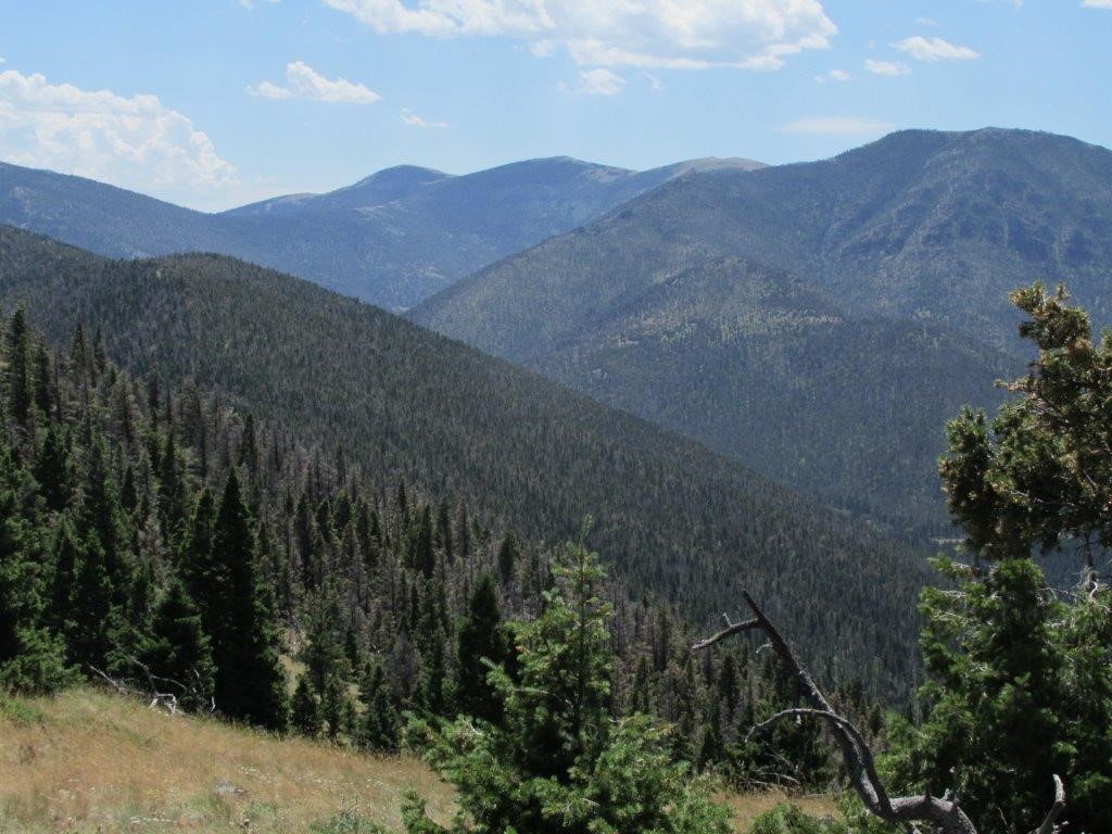 56 Wolf Creek Road Property Photo 9
