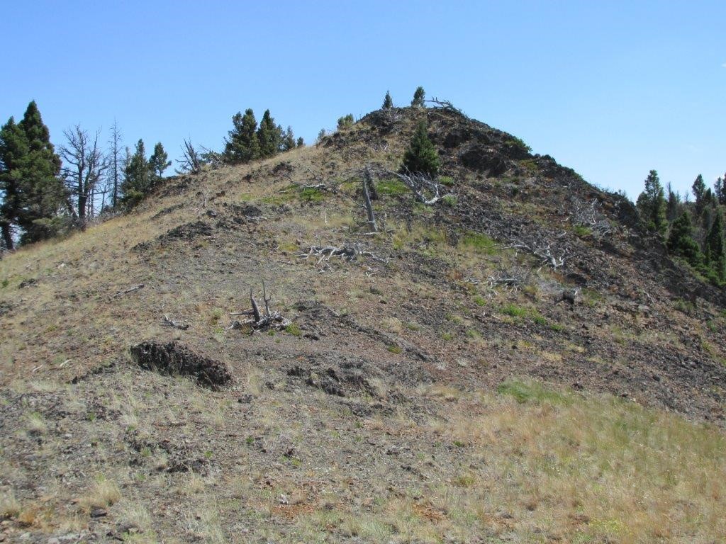 56 Wolf Creek Road Property Photo 10