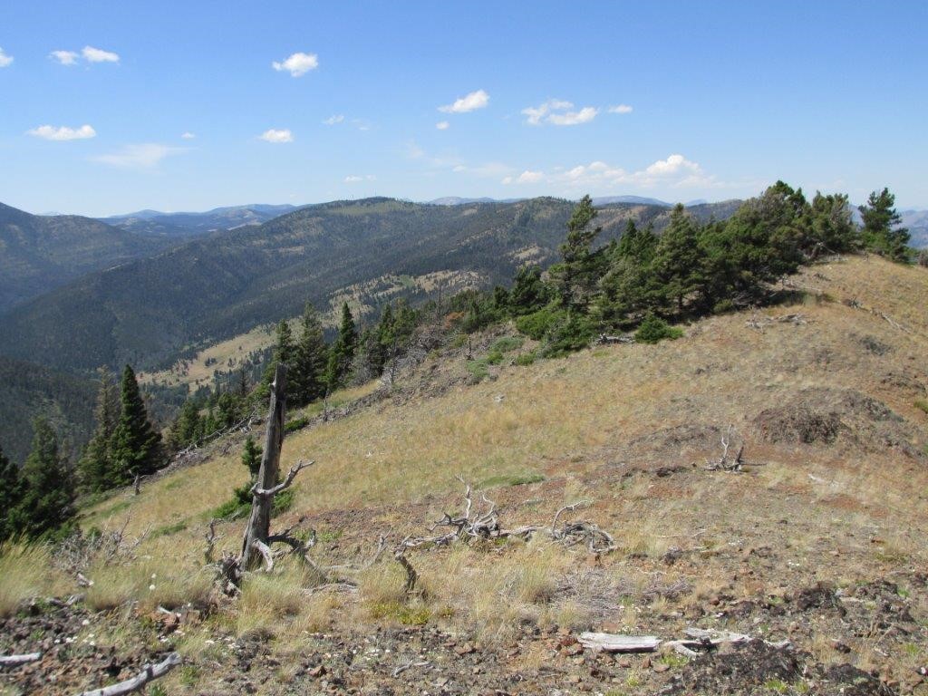 56 Wolf Creek Road Property Photo 11