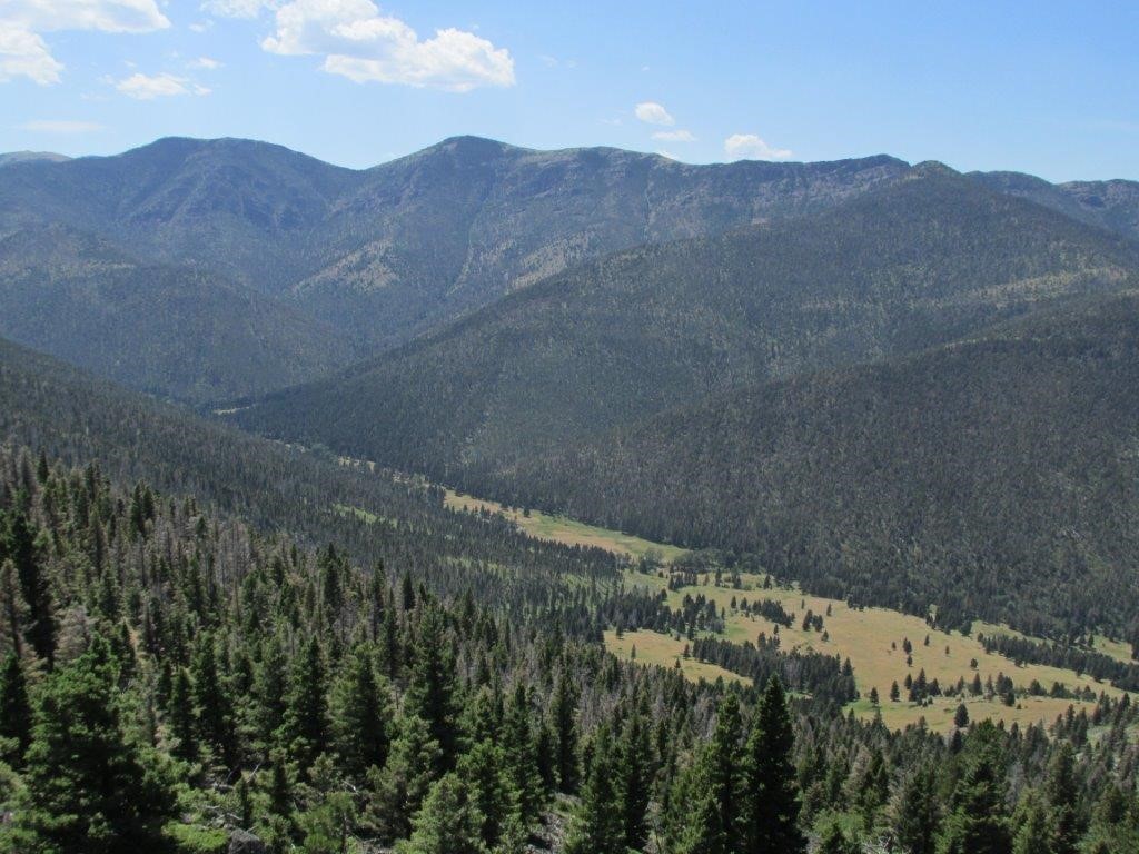 56 Wolf Creek Road Property Photo 12