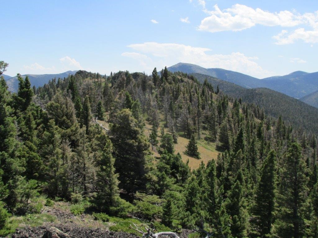 56 Wolf Creek Road Property Photo 13