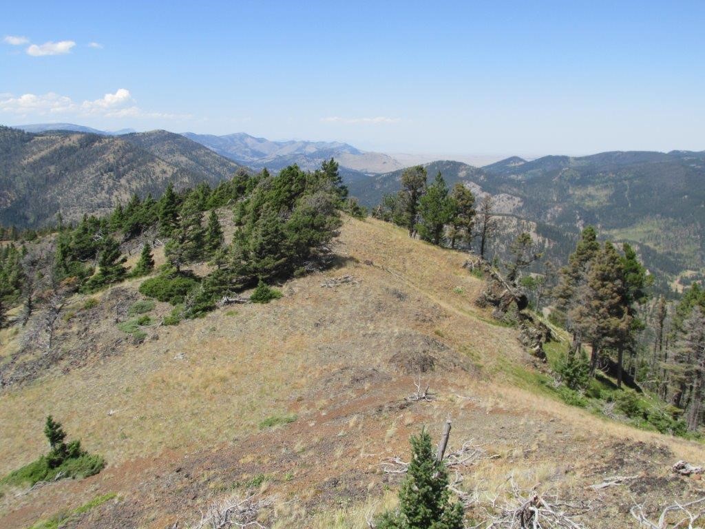 56 Wolf Creek Road Property Photo 14