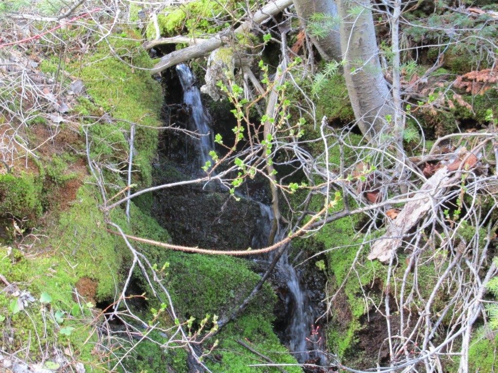56 Wolf Creek Road Property Photo 19