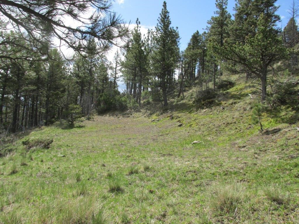 56 Wolf Creek Road Property Photo 20