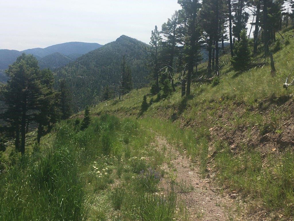 56 Wolf Creek Road Property Photo 27