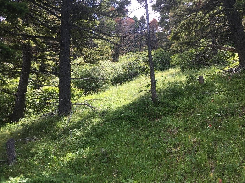 56 Wolf Creek Road Property Photo 33