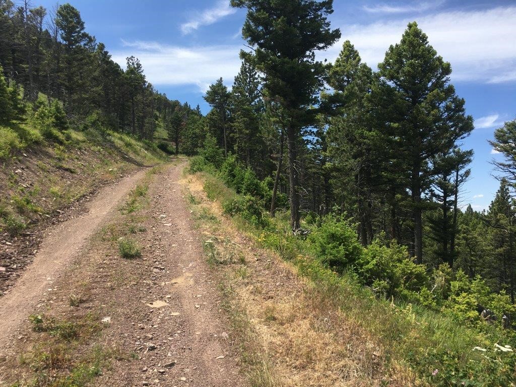 56 Wolf Creek Road Property Photo 36