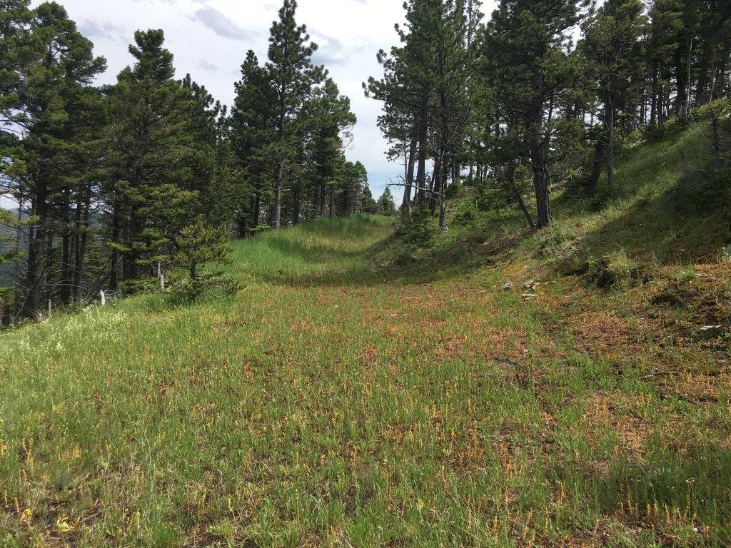 56 Wolf Creek Road Property Photo 39