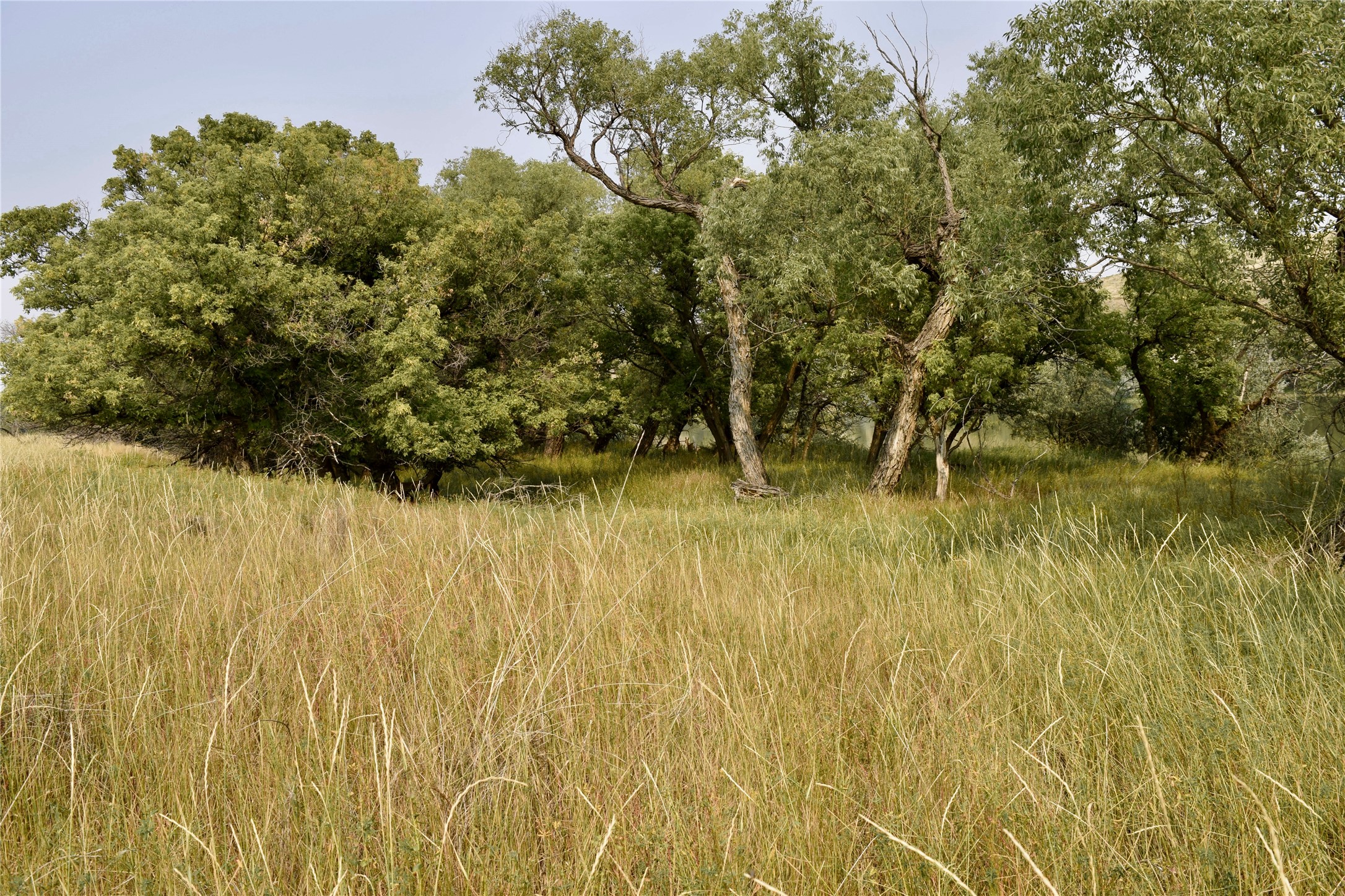 167 Dune Drive Property Photo 23