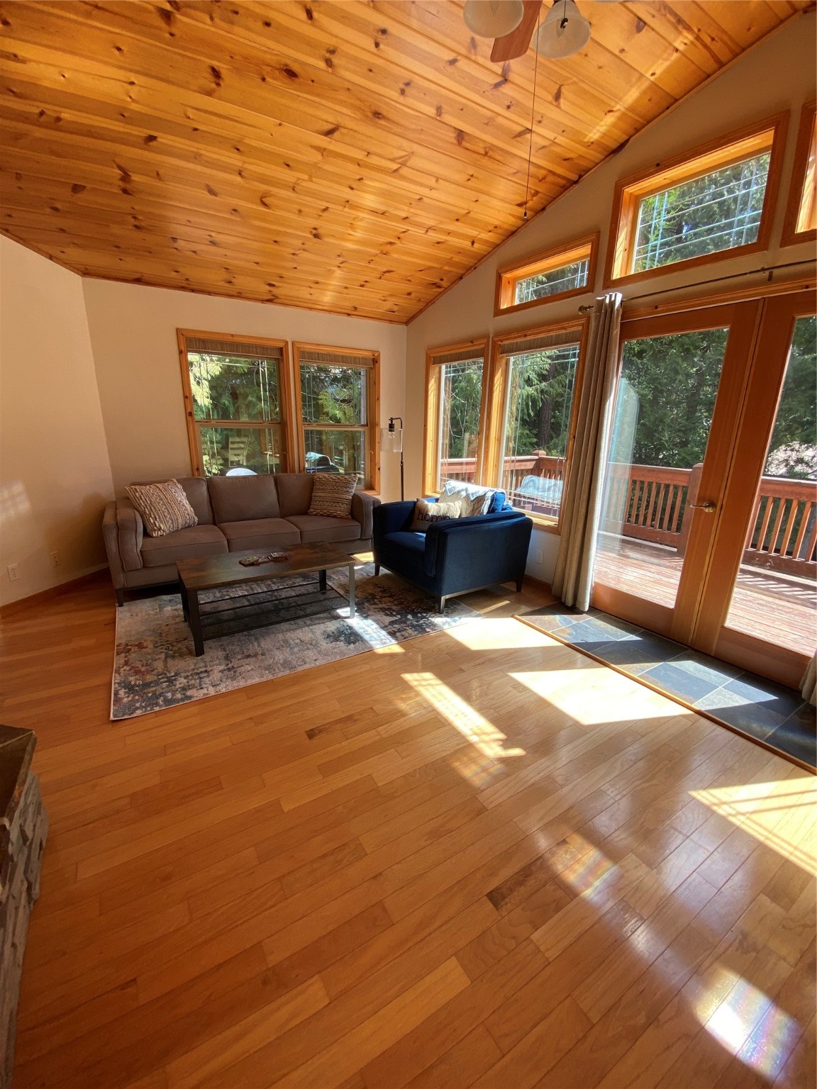 20 Halo Drive Property Photo 10