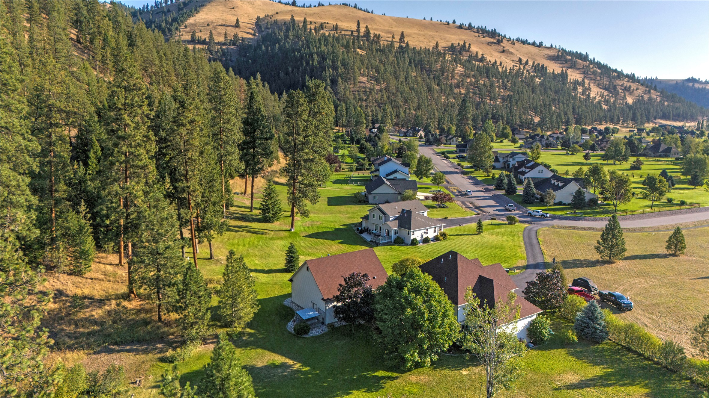 10596 Nez Perce Loop Property Photo 52