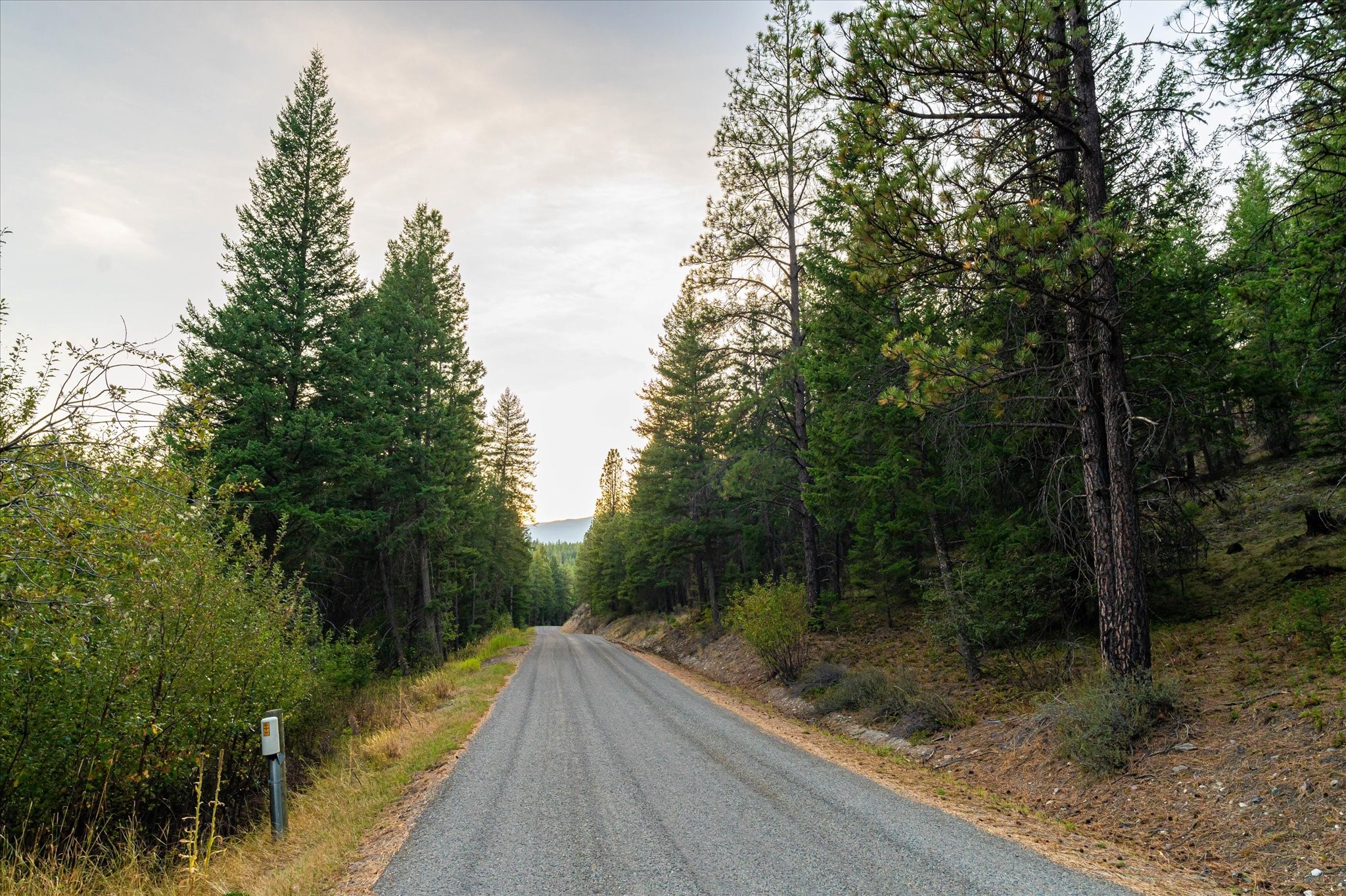 Nhn Black Lake Road Property Photo 3