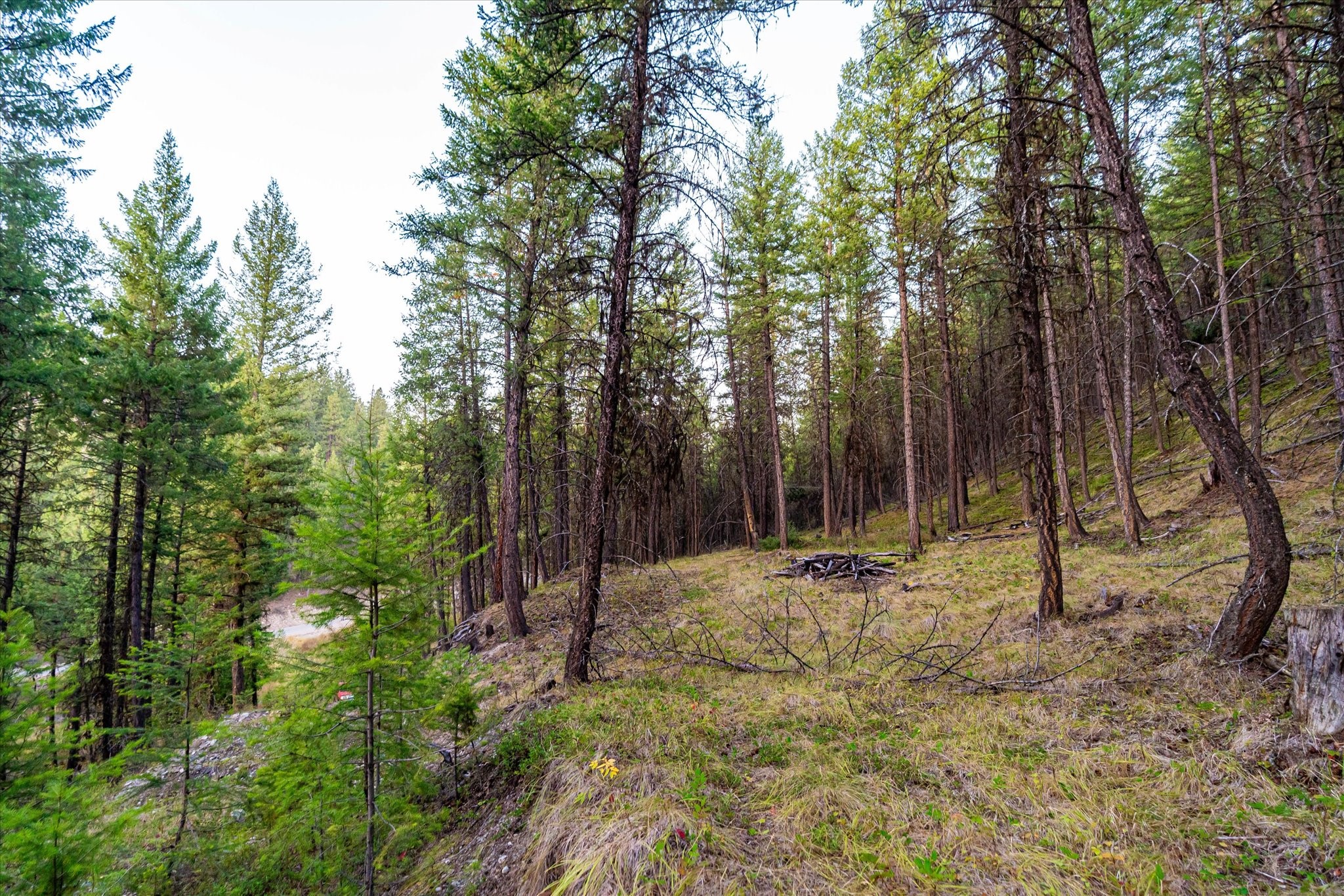 Nhn Black Lake Road Property Photo 5