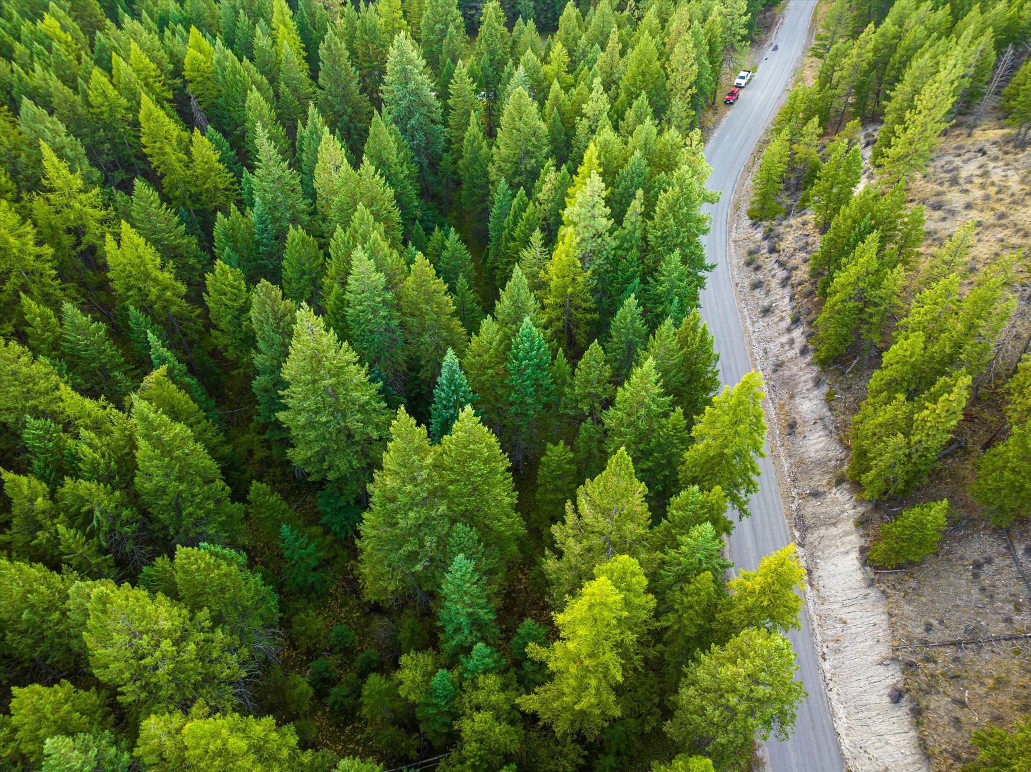 Nhn Black Lake Road Property Photo 13