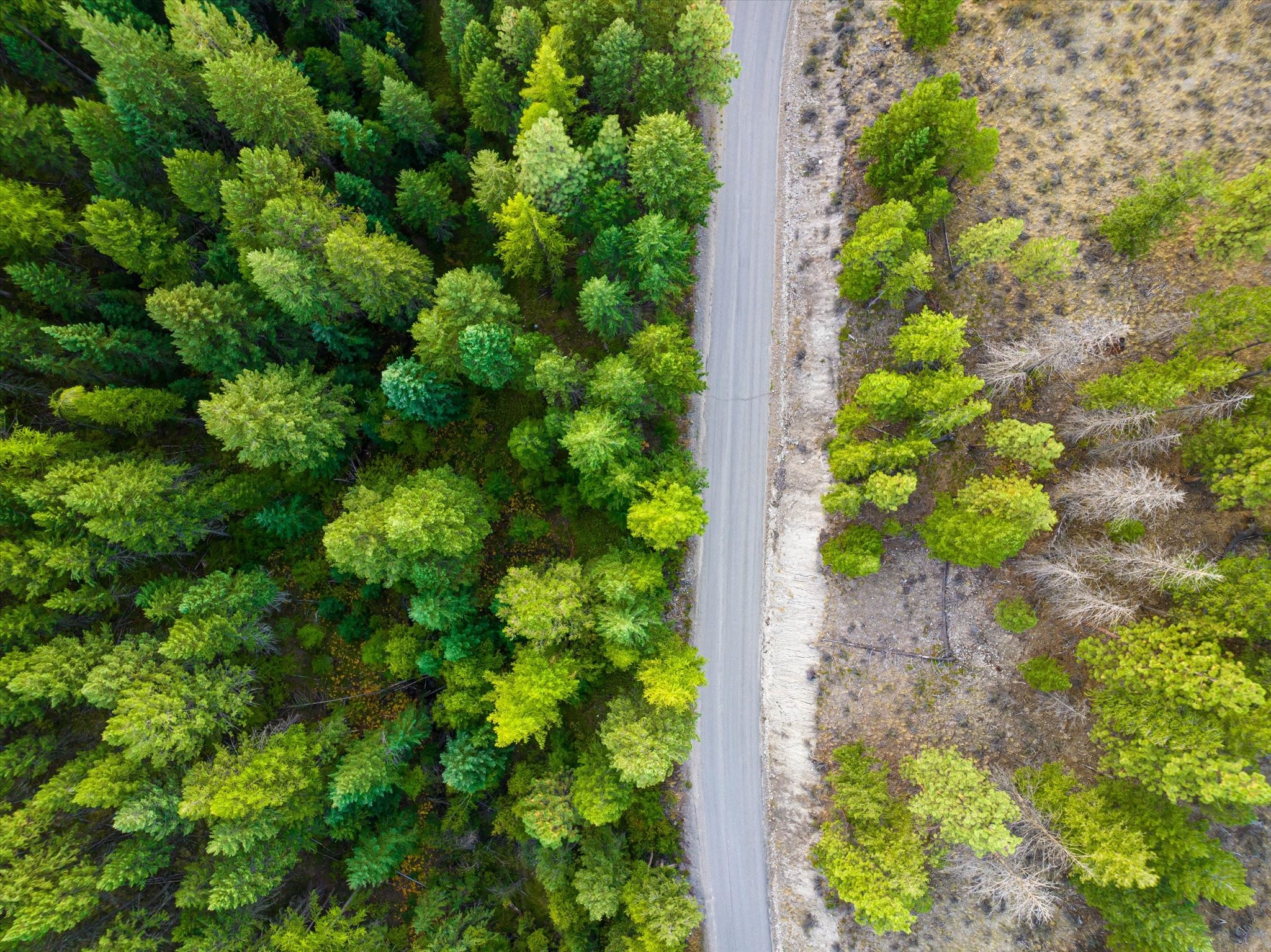 Nhn Black Lake Road Property Photo 14