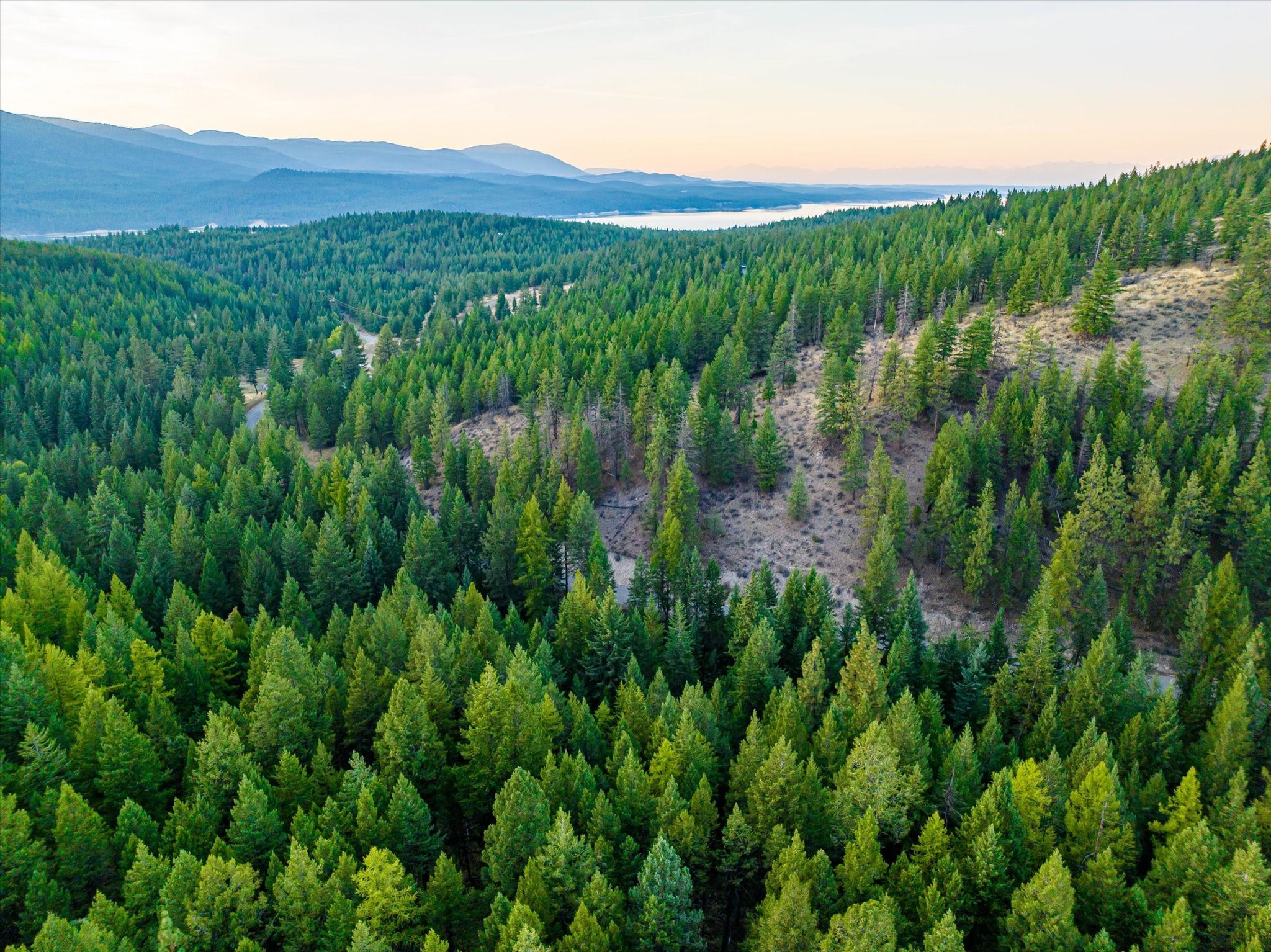 Nhn Black Lake Road Property Photo 16