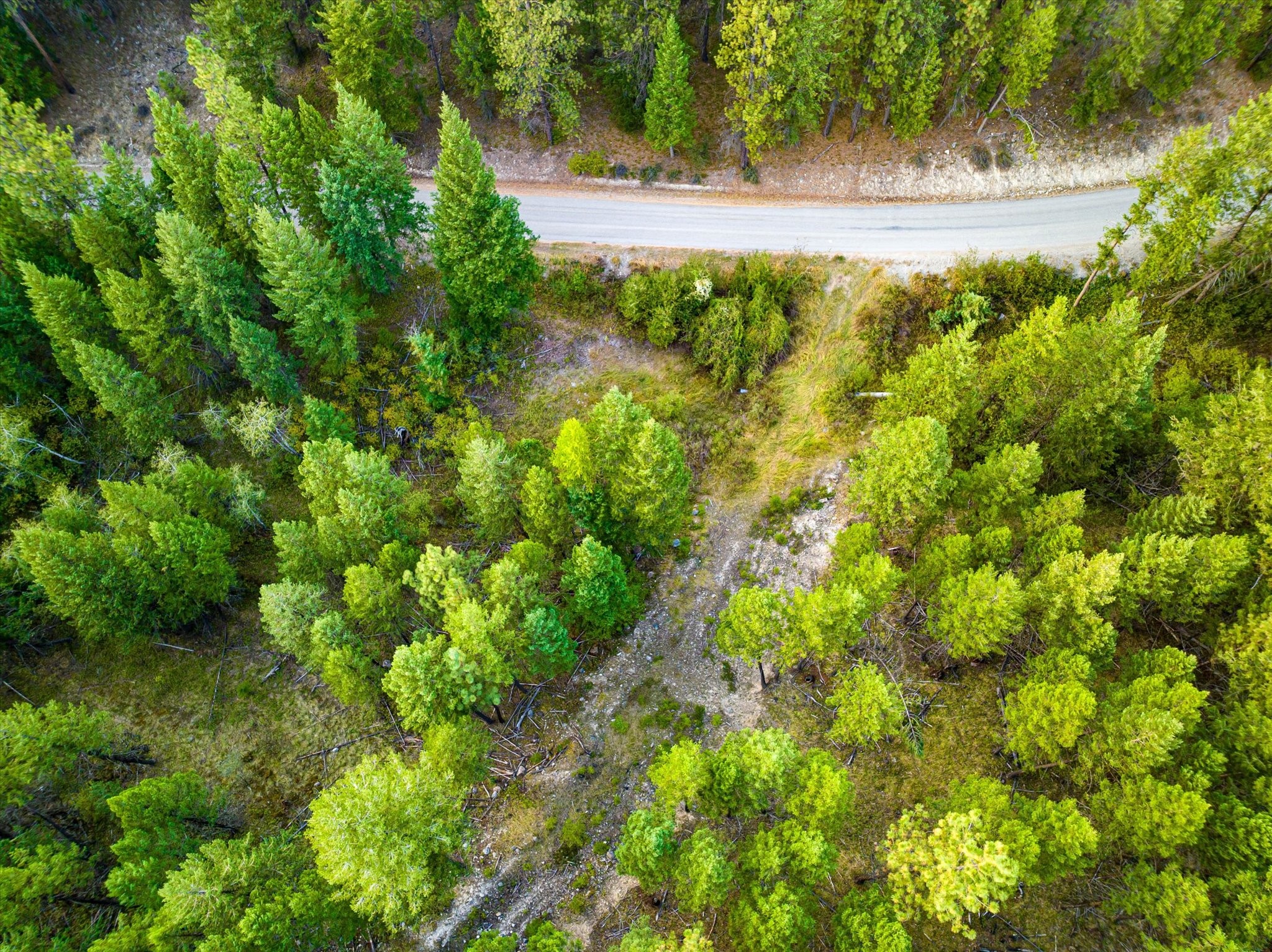 Nhn Black Lake Road Property Photo 17