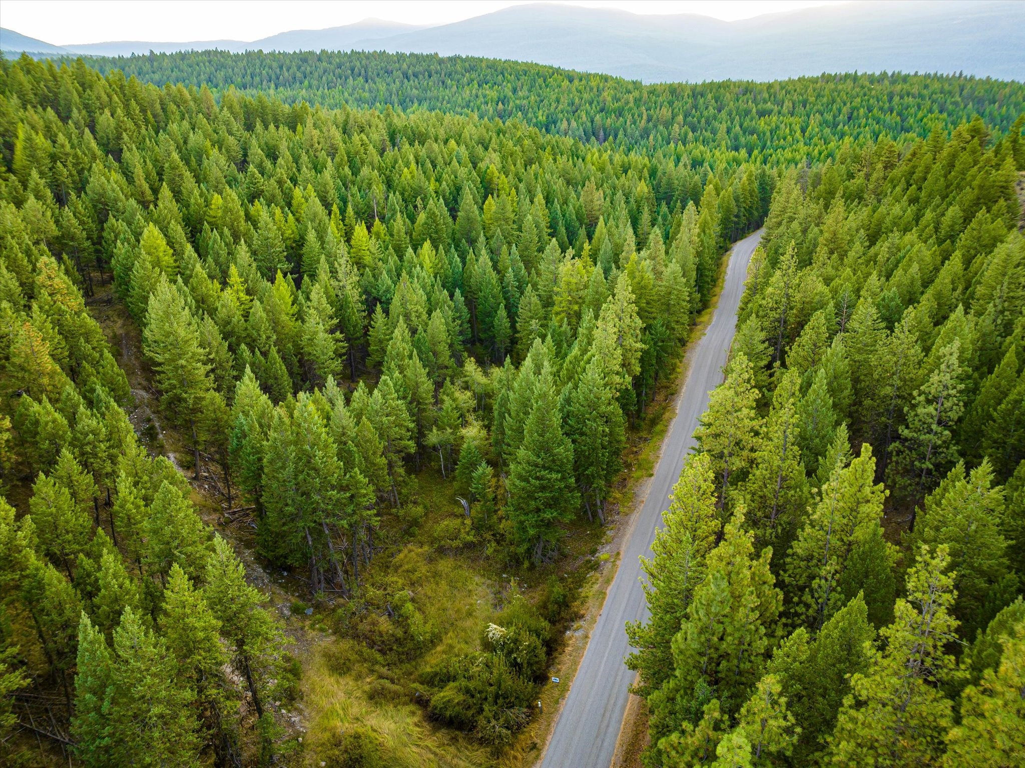 Nhn Black Lake Road Property Photo 18