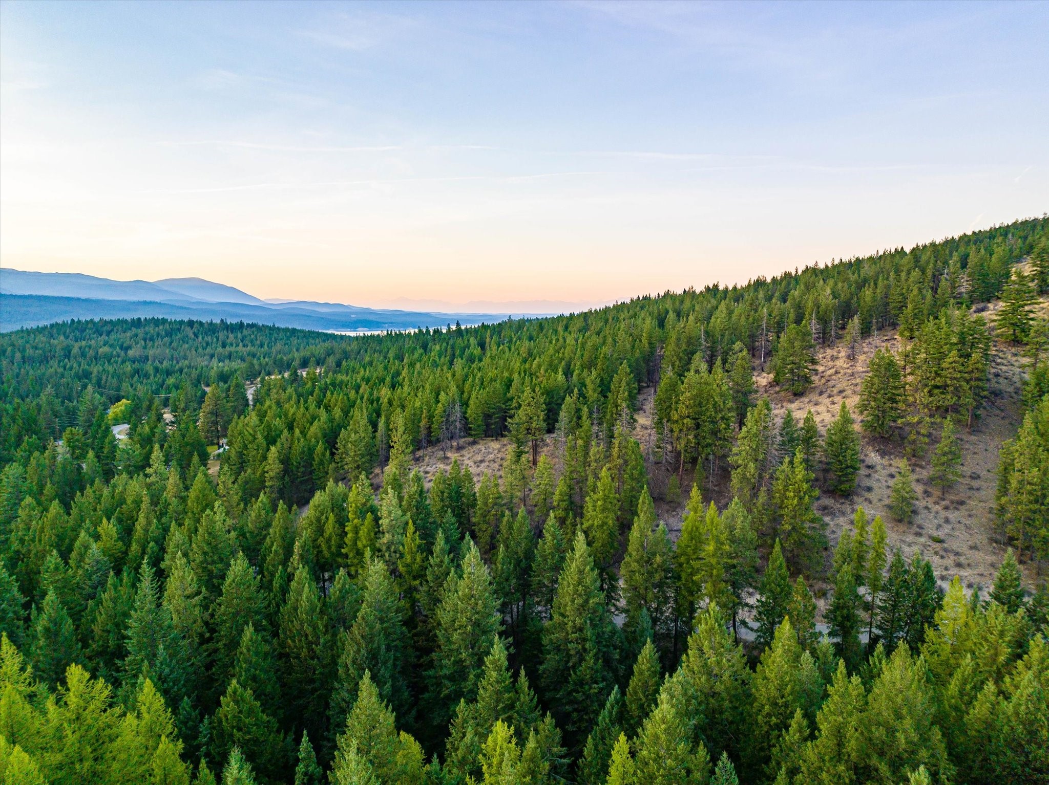 Nhn Black Lake Road Property Photo 19