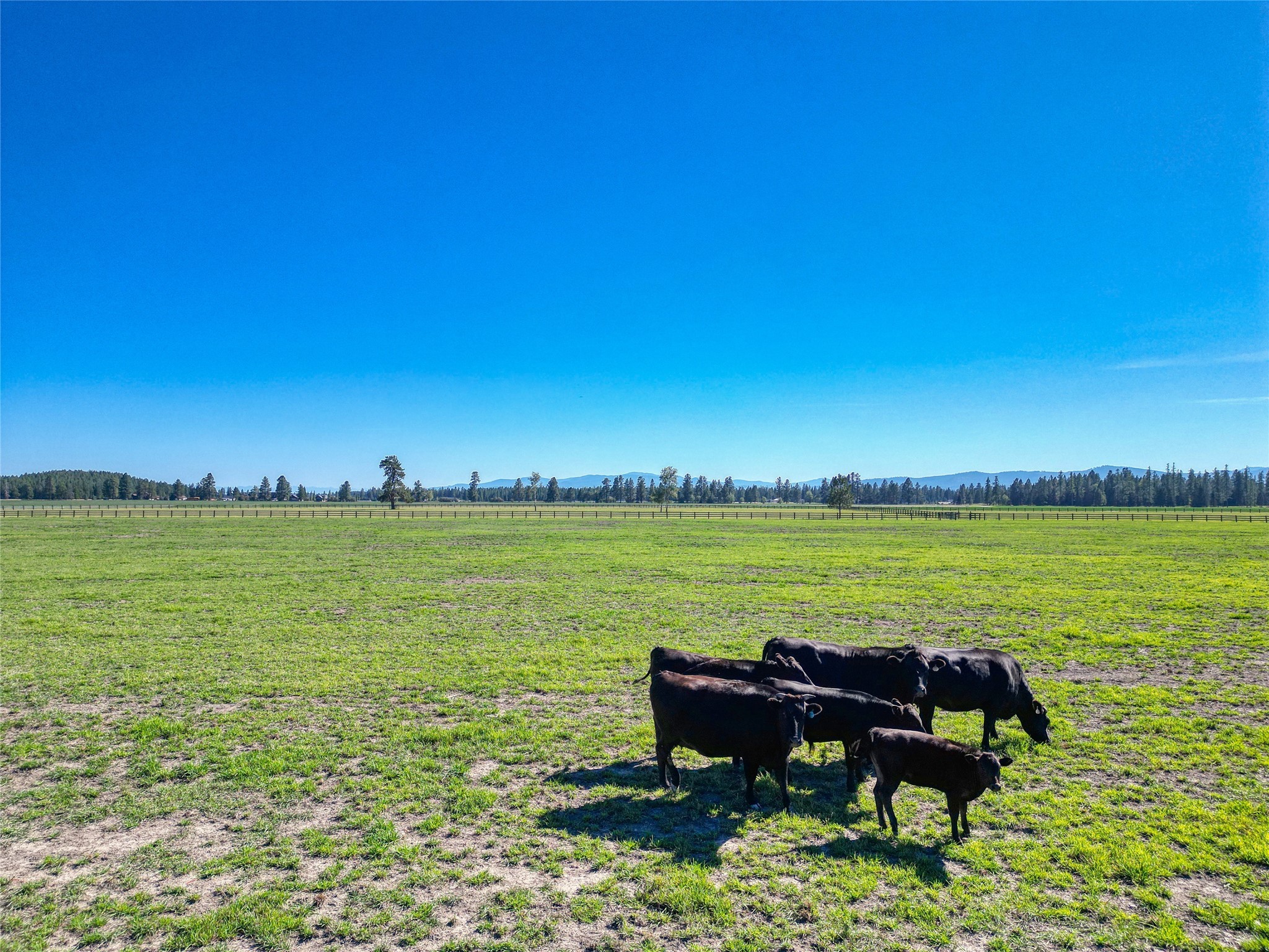 1212 Spring Prairie Ranch Road Property Photo 119