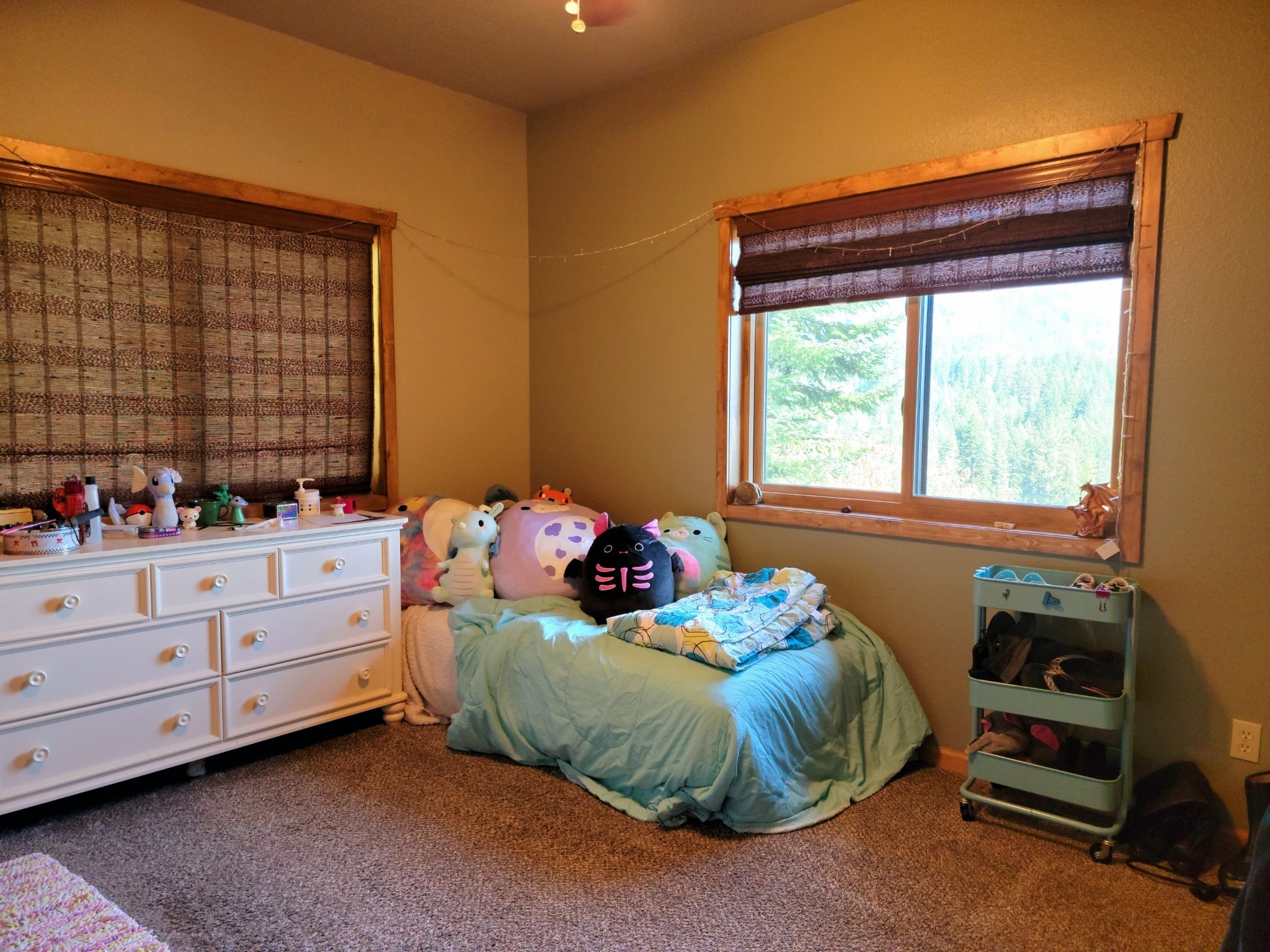 2 Rainbow Court Property Photo 21
