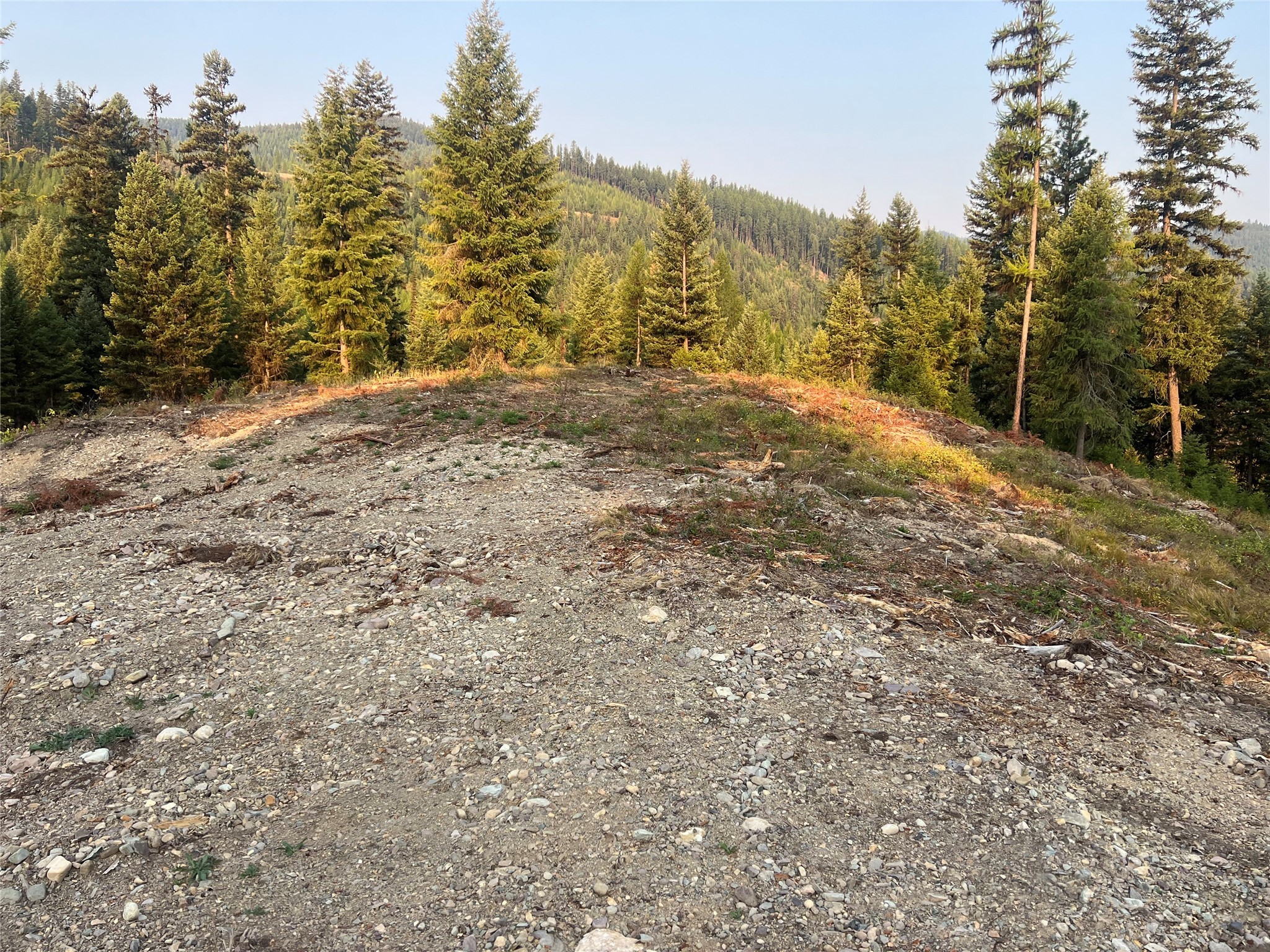 Tbd Schrieber Lake Subdivision Property Photo 4