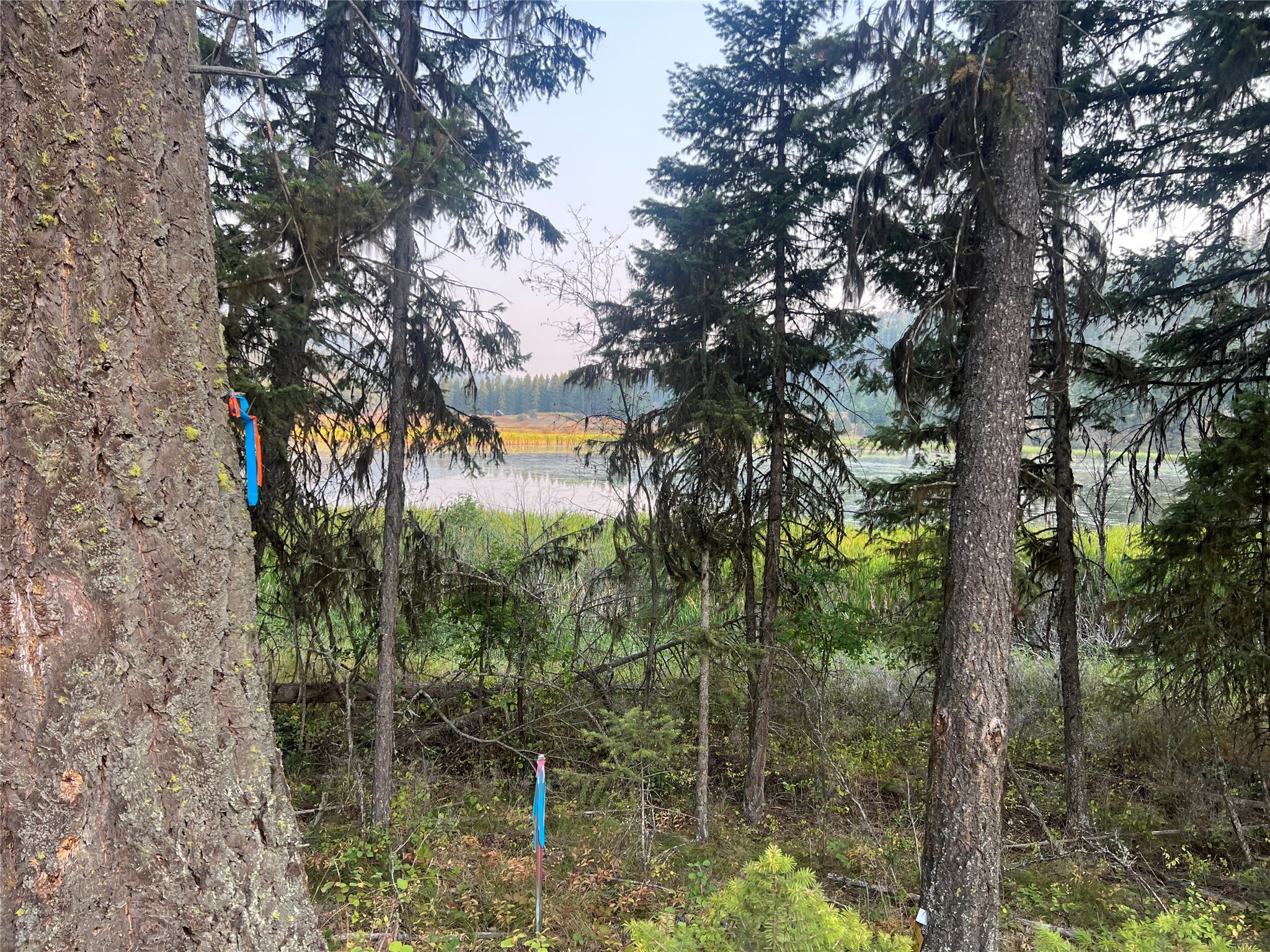 Tbd Schrieber Lake Subdivision Property Photo 5