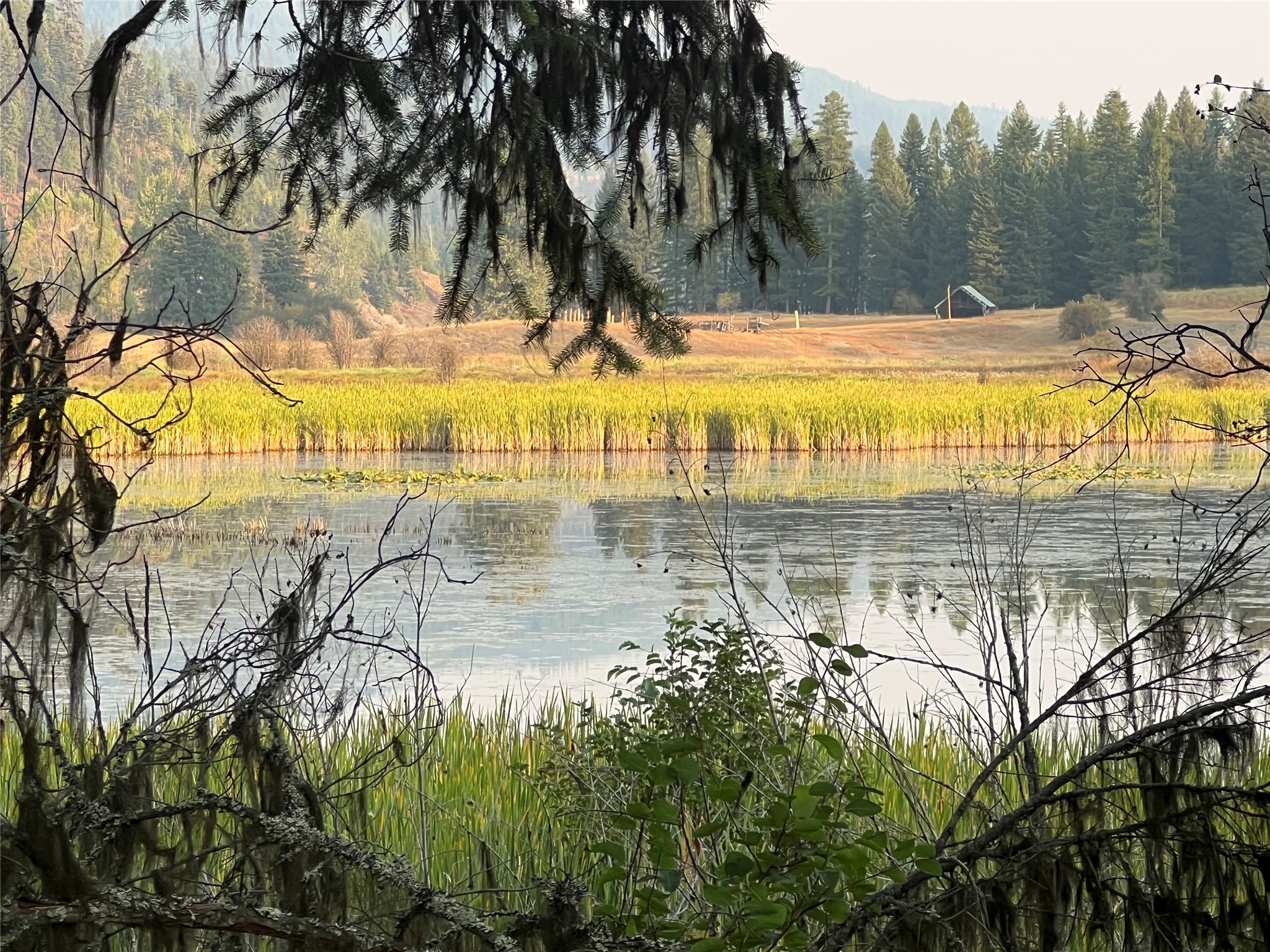 Tbd Schrieber Lake Subdivision Property Photo 7