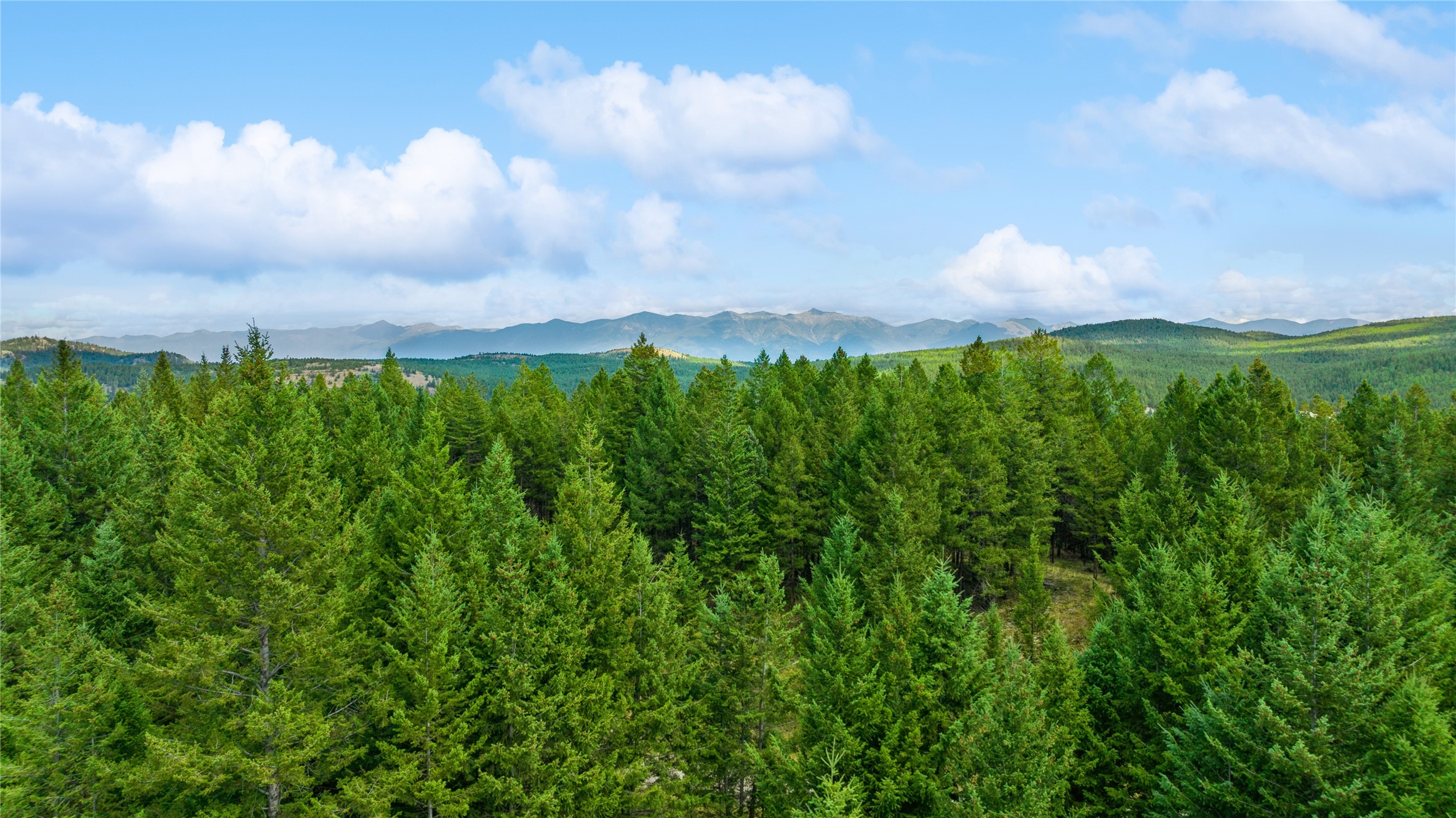 522 Moonshine Mountain Trail Property Photo 3