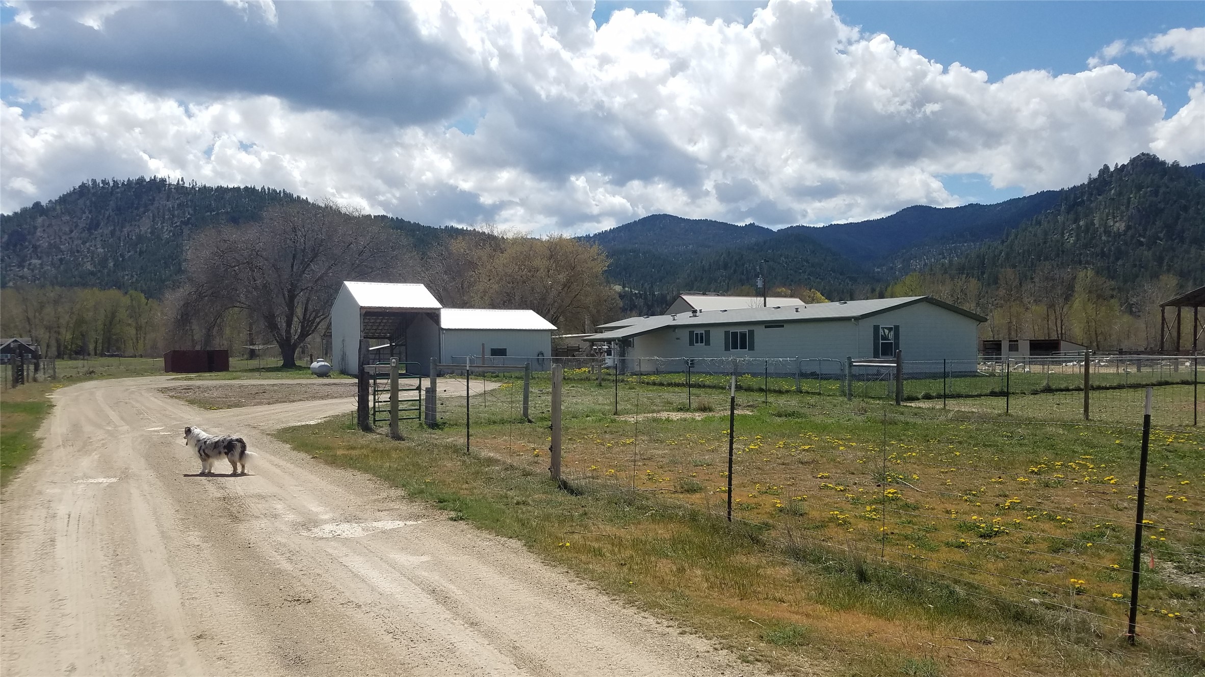 14486 Harpers Bridge Road Property Photo 1