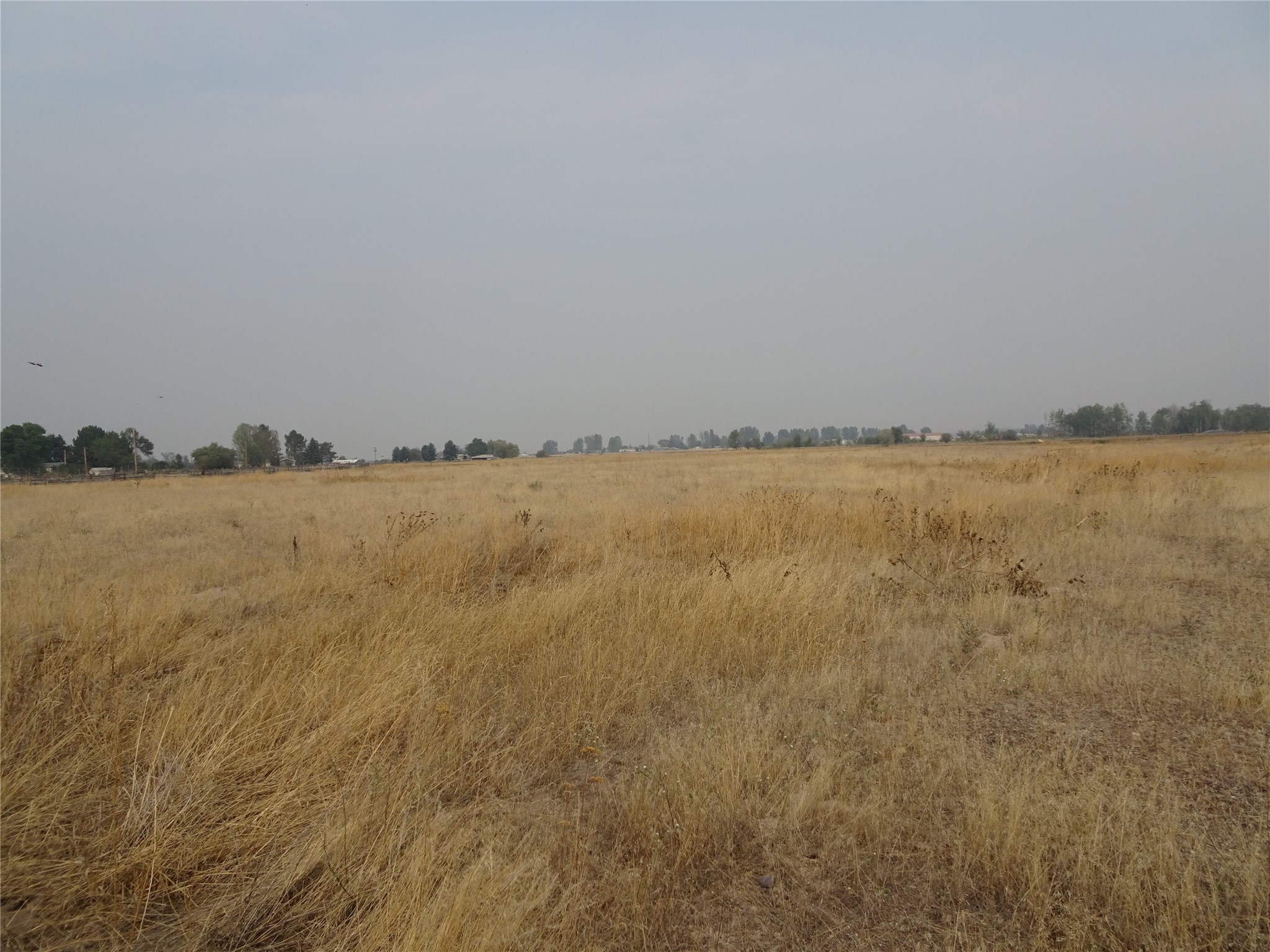 14486 Harpers Bridge Road Property Photo 35