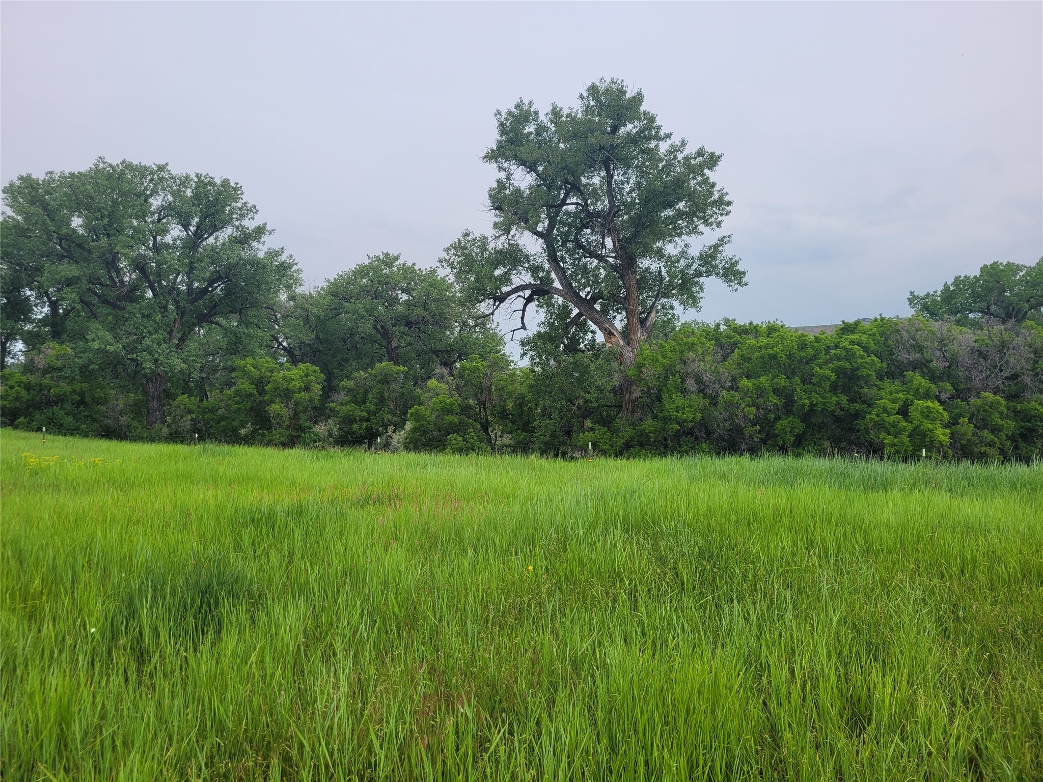 Lot 35 Russell Ranch Lane Property Photo